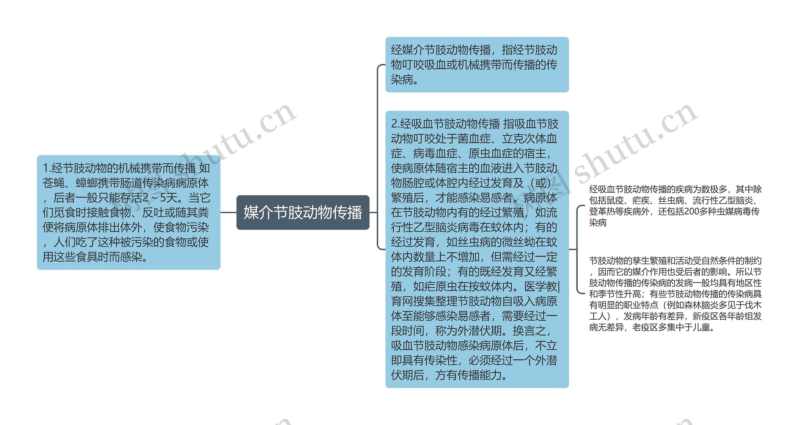 媒介节肢动物传播思维导图