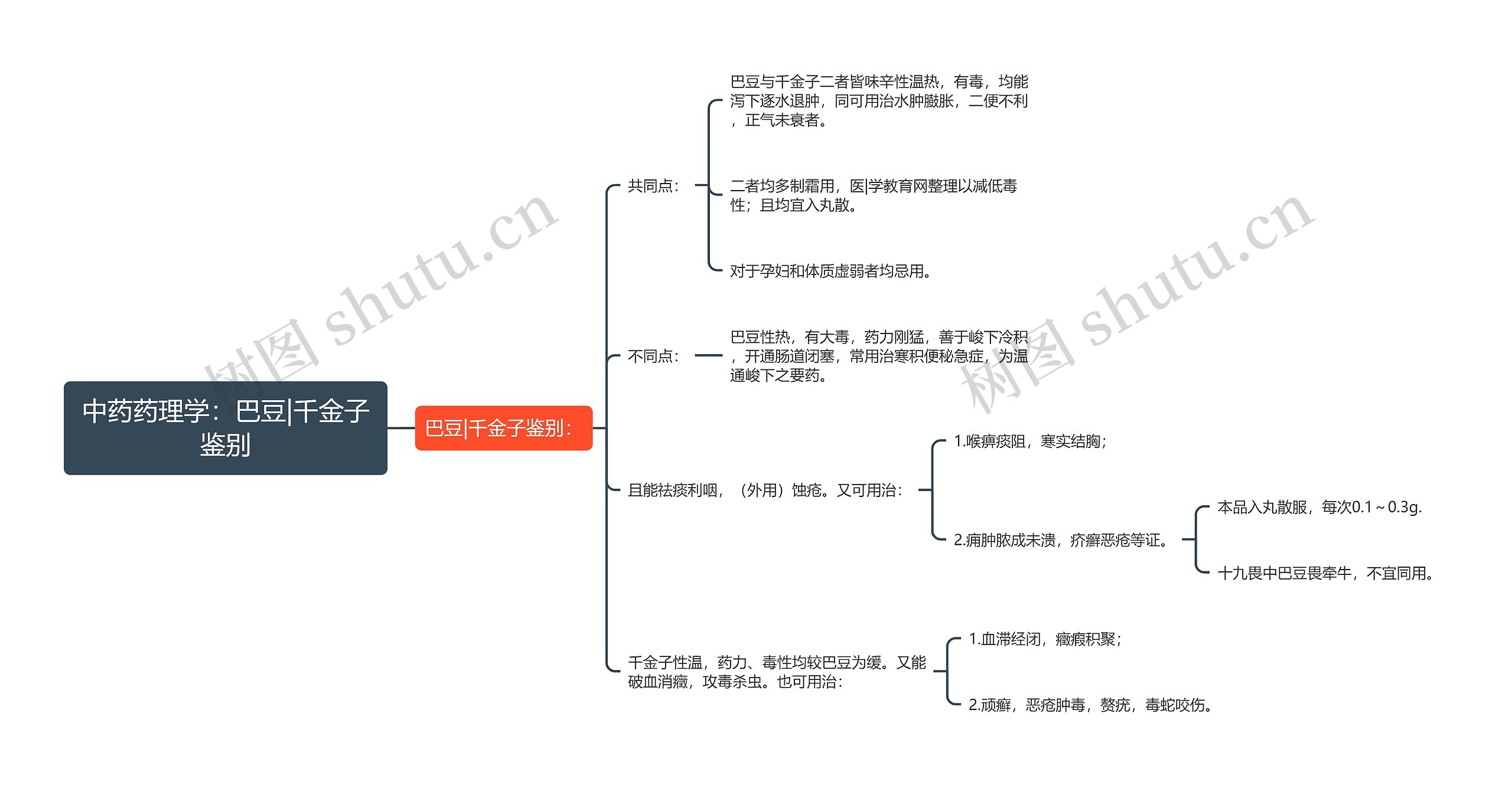 中药药理学：巴豆|千金子鉴别