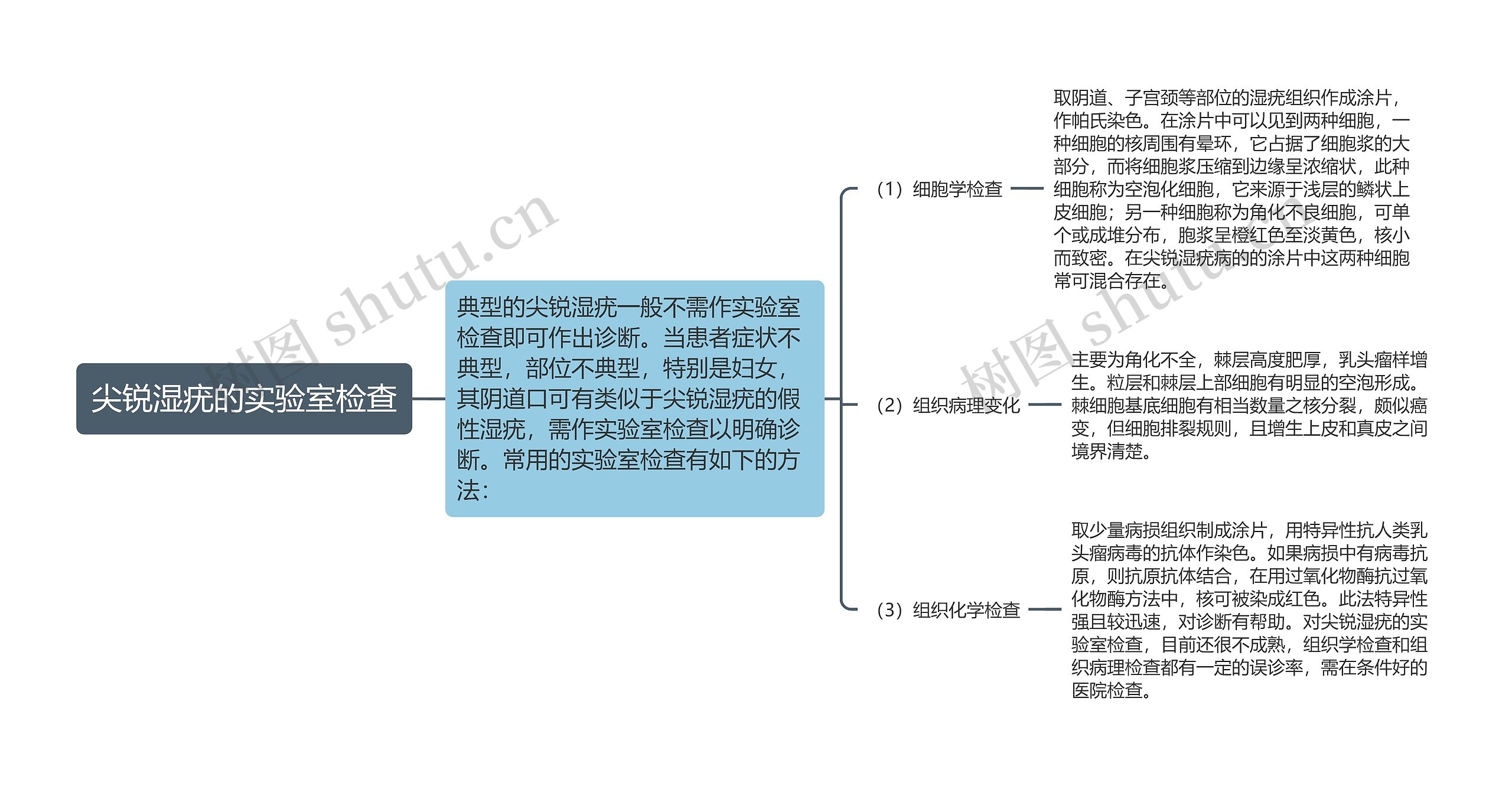 尖锐湿疣的实验室检查思维导图