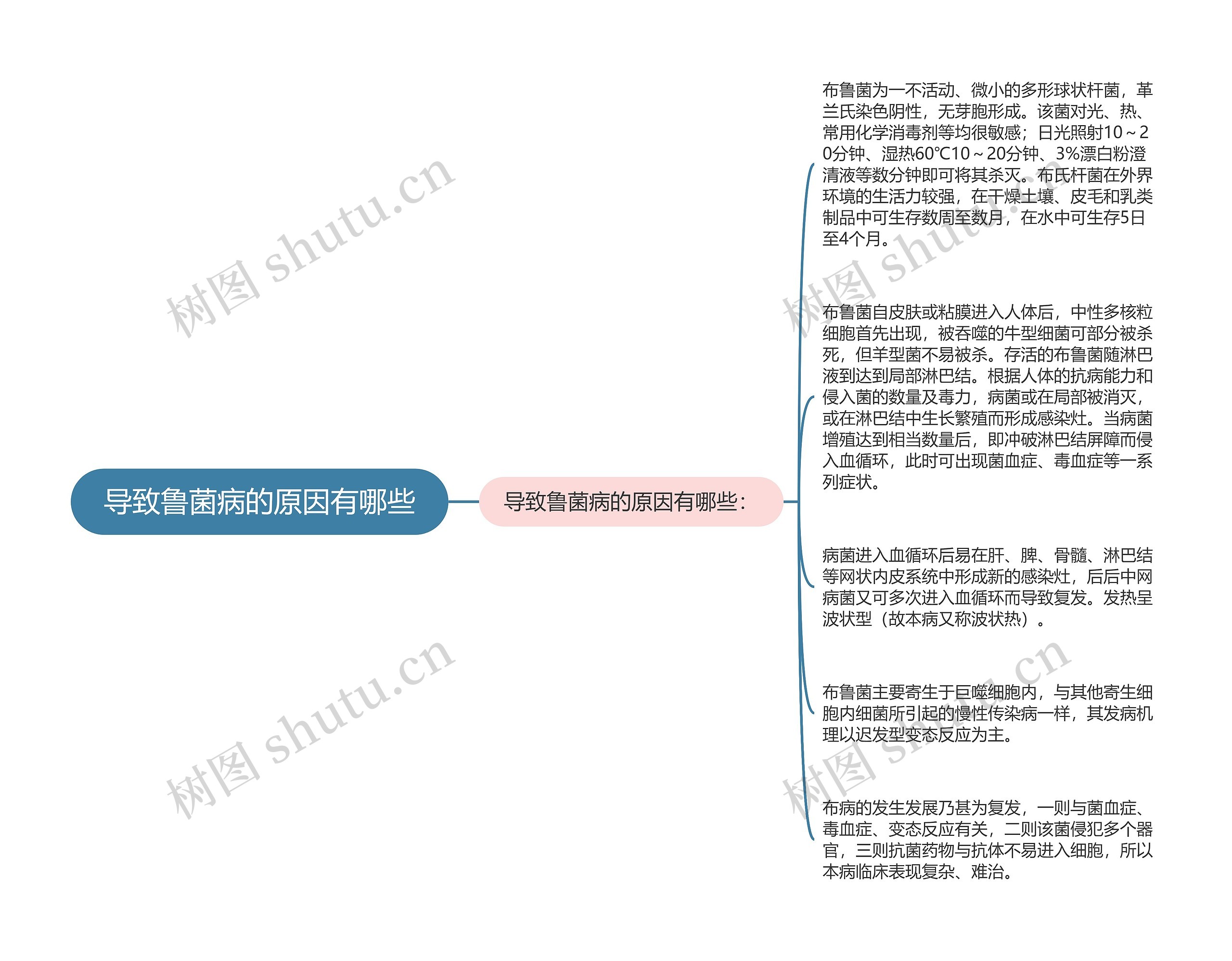 导致鲁菌病的原因有哪些思维导图