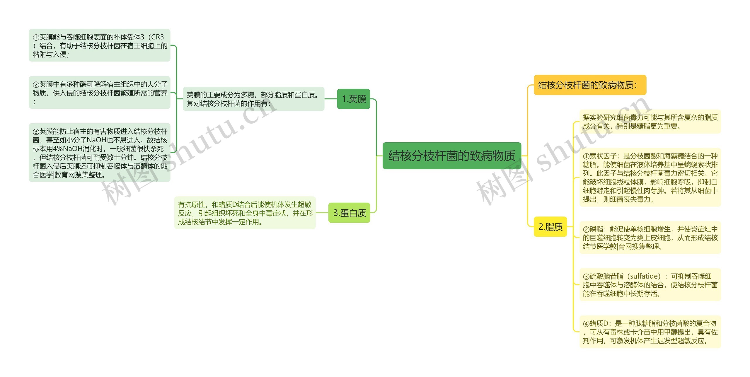 结核分枝杆菌的致病物质思维导图