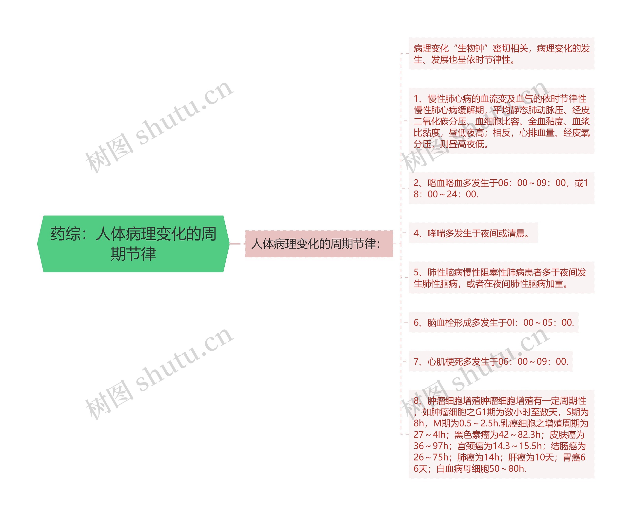 药综：人体病理变化的周期节律思维导图