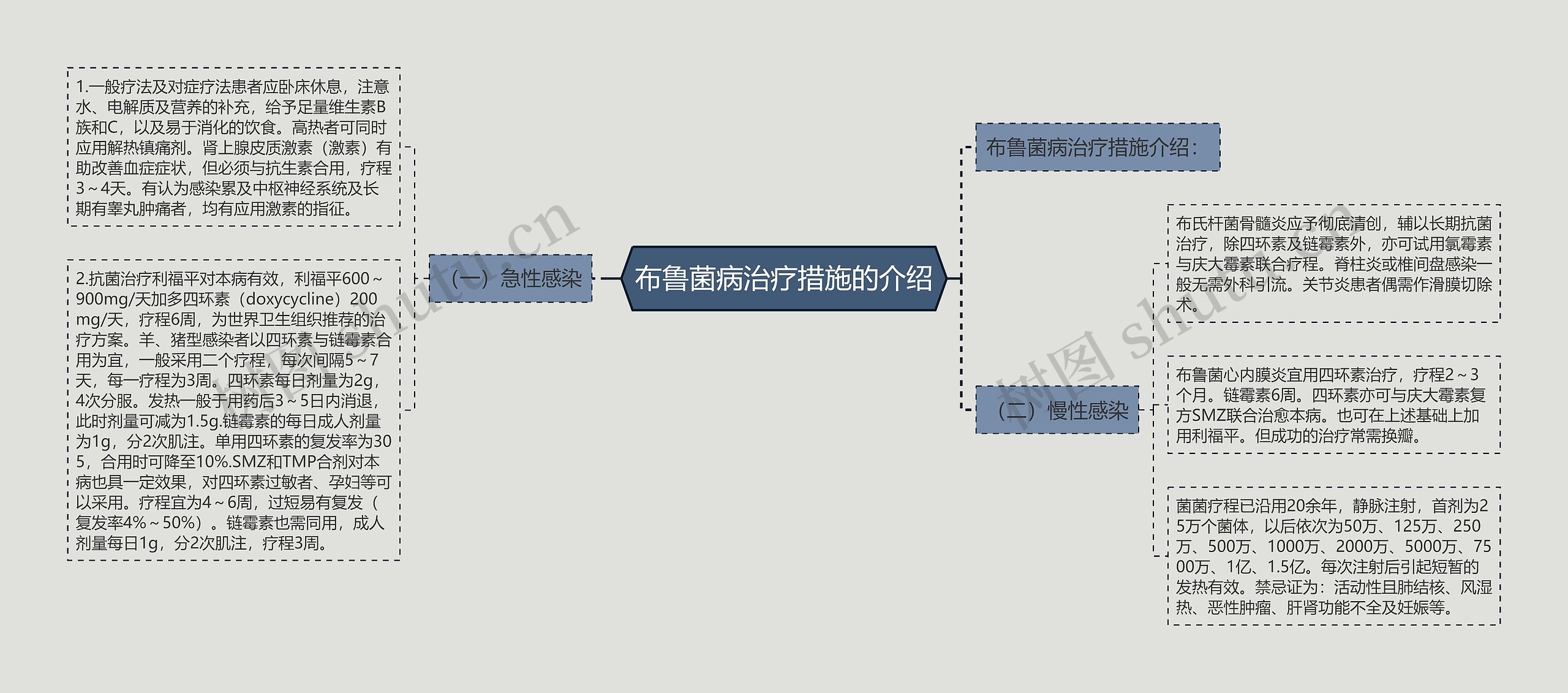 布鲁菌病治疗措施的介绍思维导图