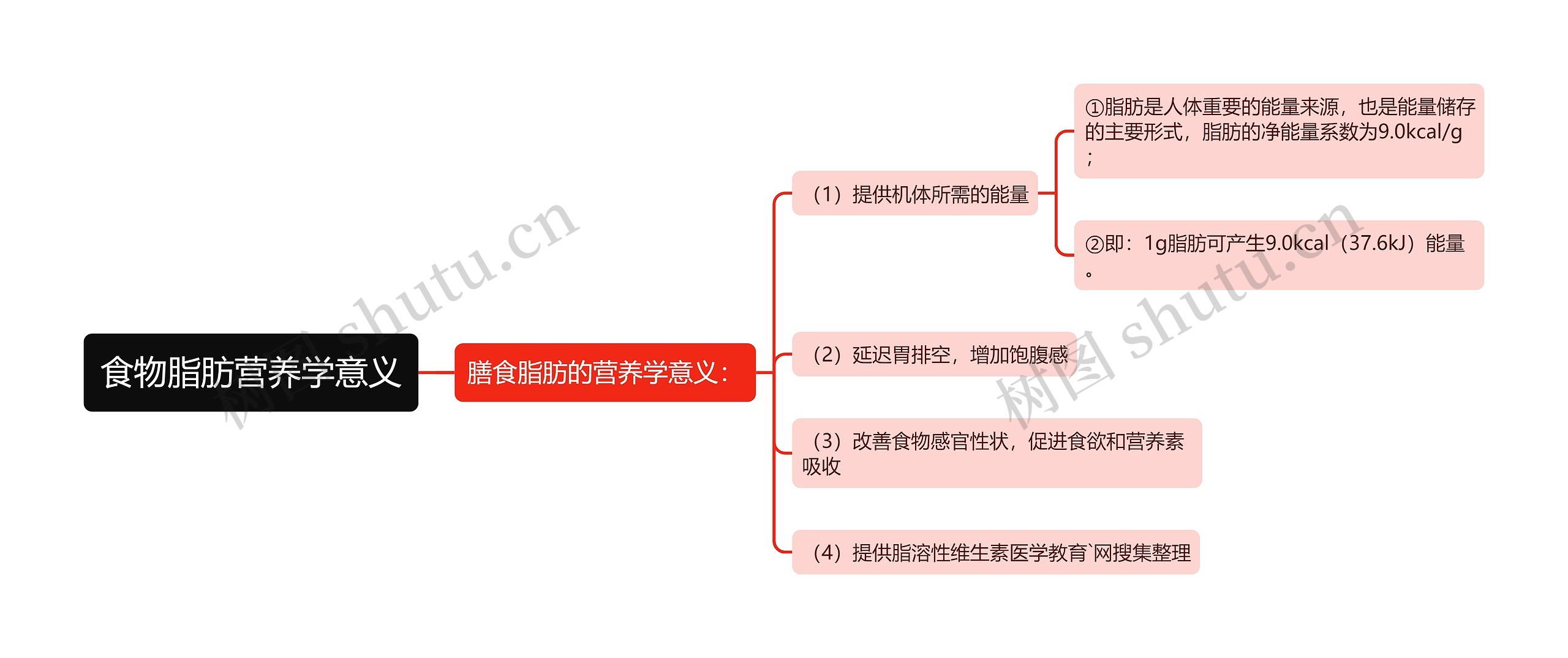 食物脂肪营养学意义思维导图