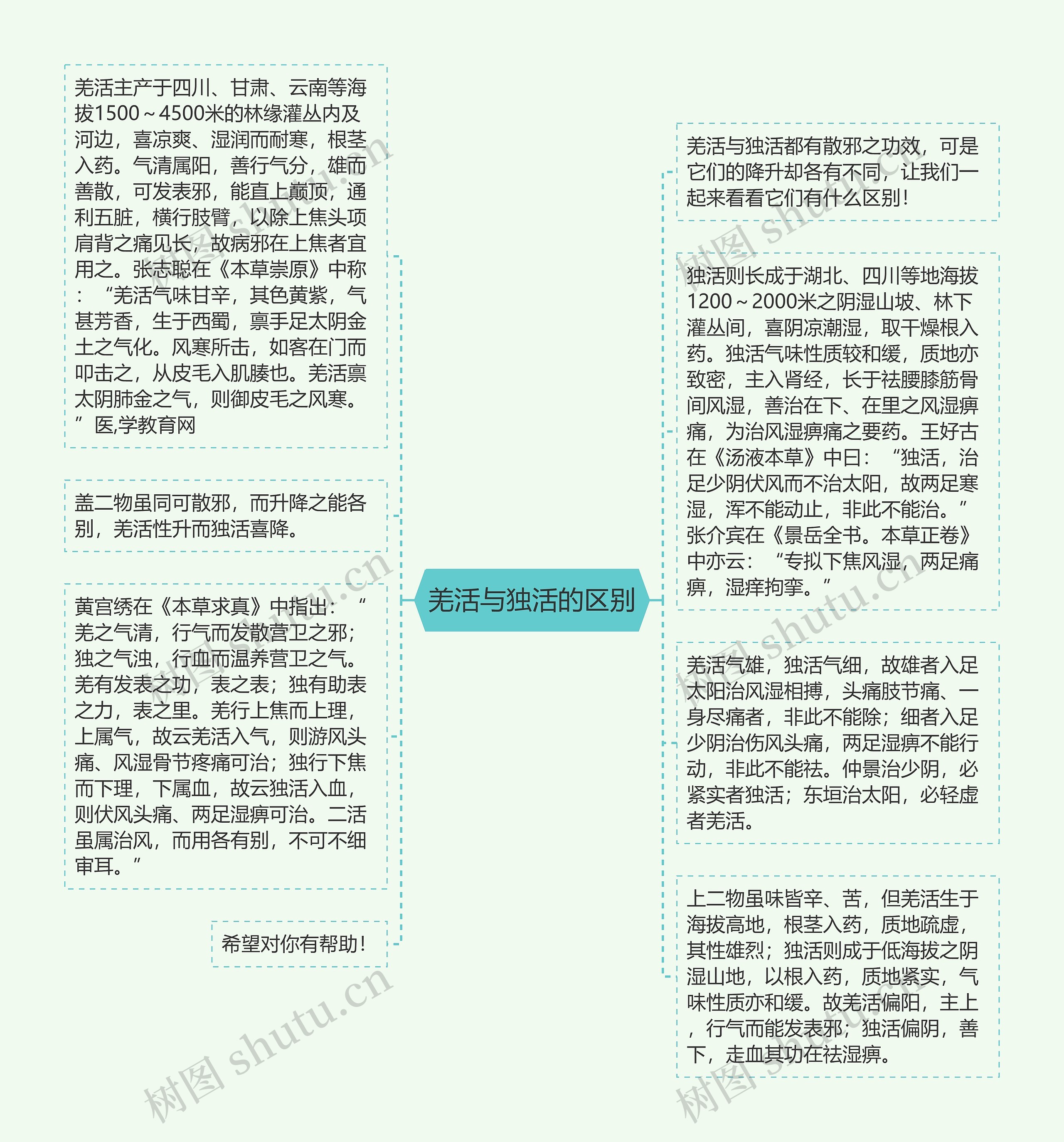 羌活与独活的区别