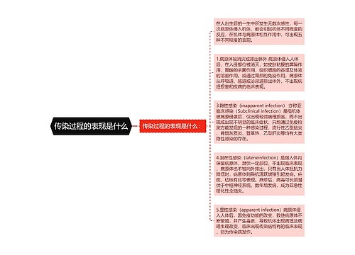 传染过程的表现是什么