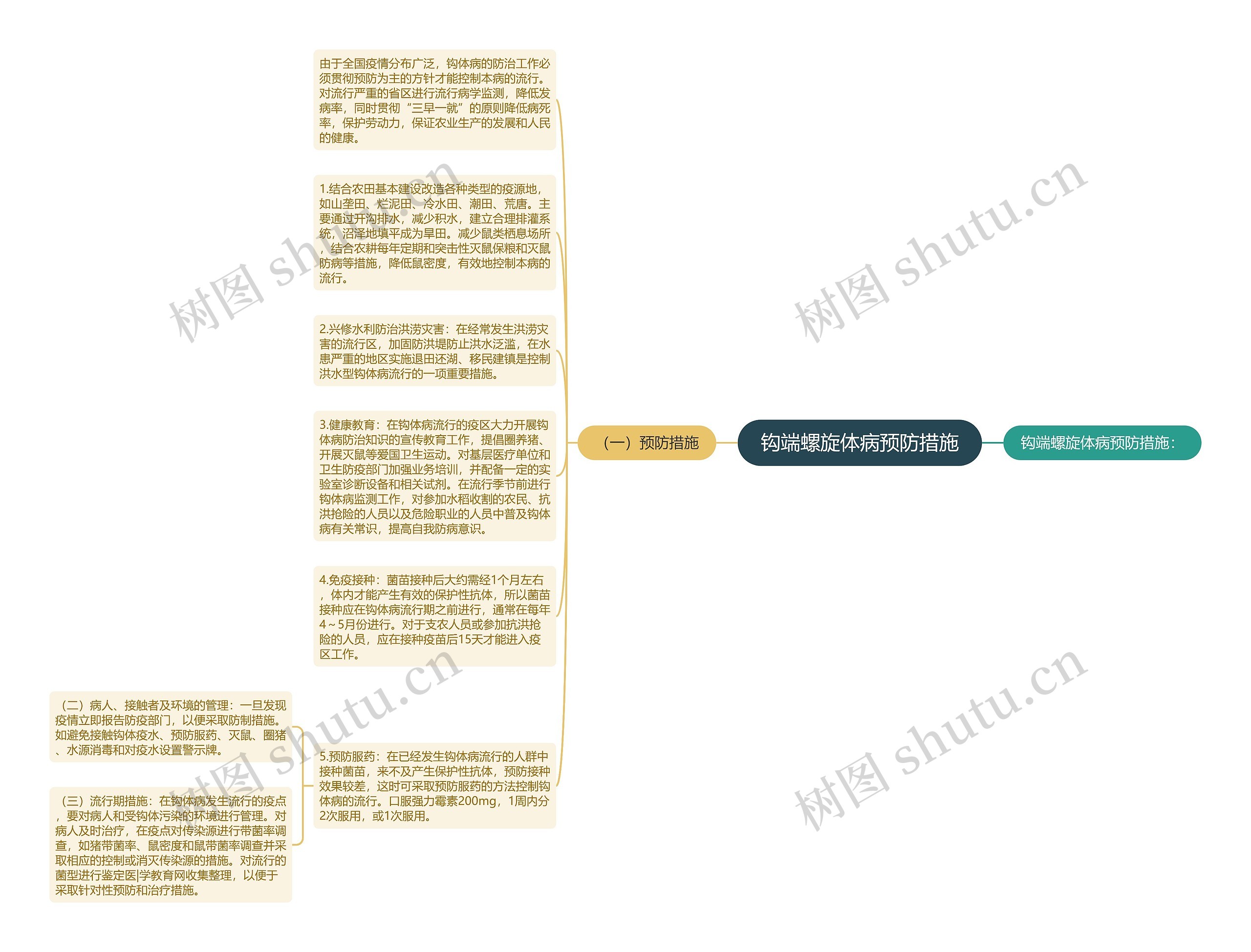 钩端螺旋体病预防措施思维导图