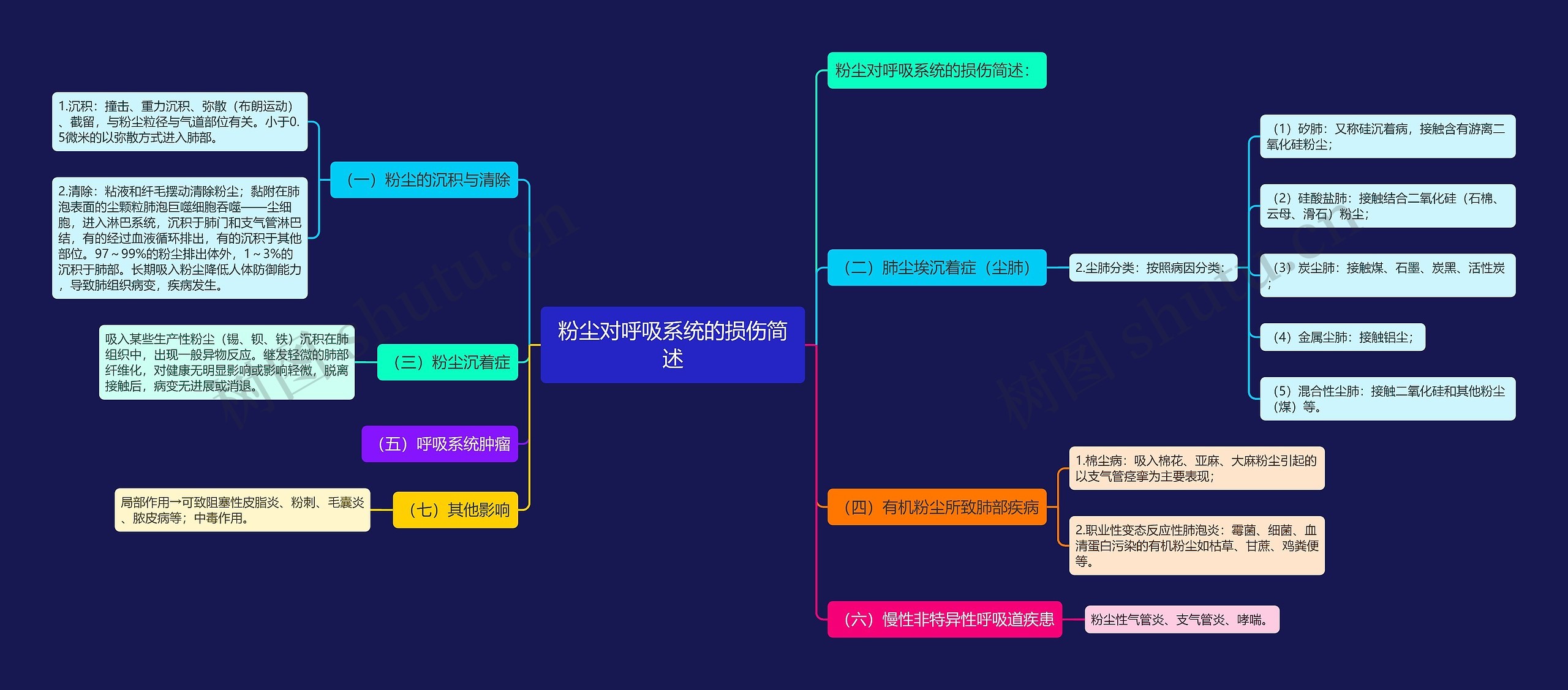 粉尘对呼吸系统的损伤简述思维导图