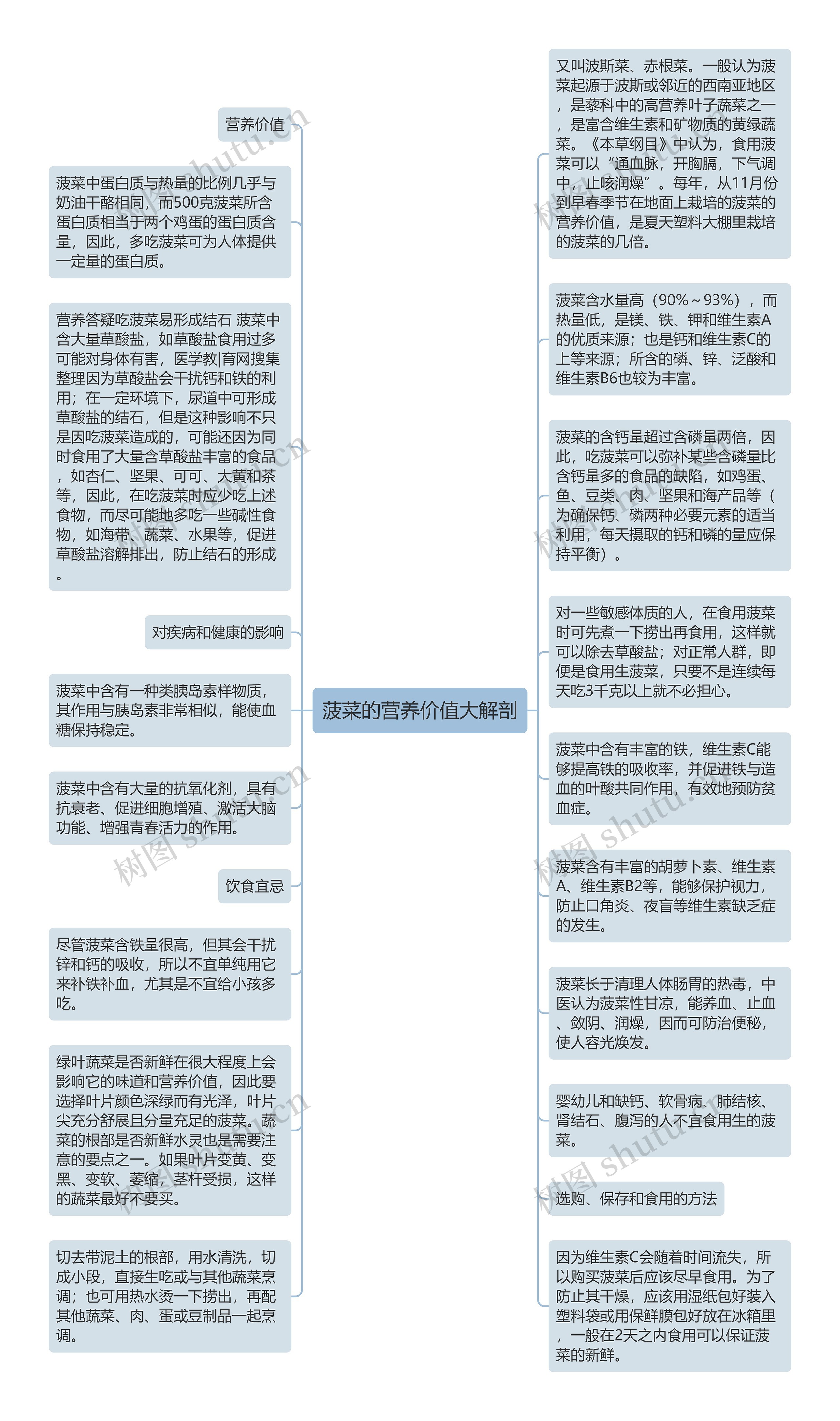 菠菜的营养价值大解剖