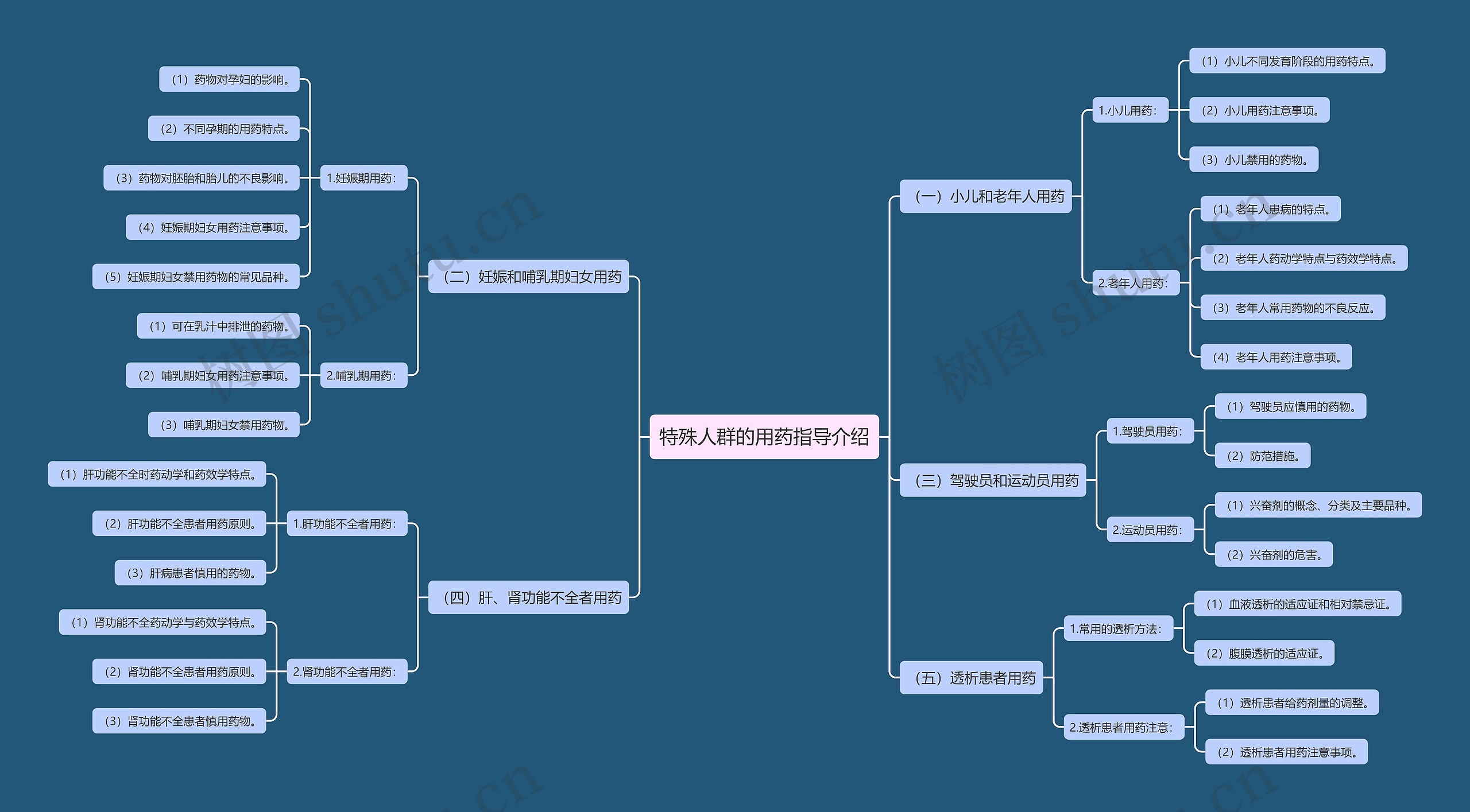 特殊人群的用药指导介绍思维导图