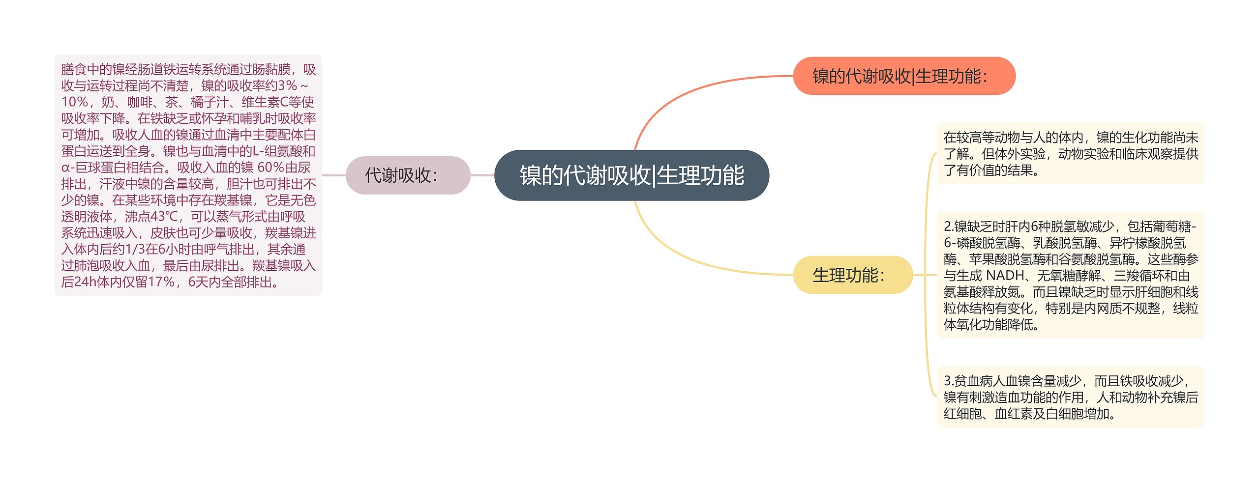 镍的代谢吸收|生理功能思维导图