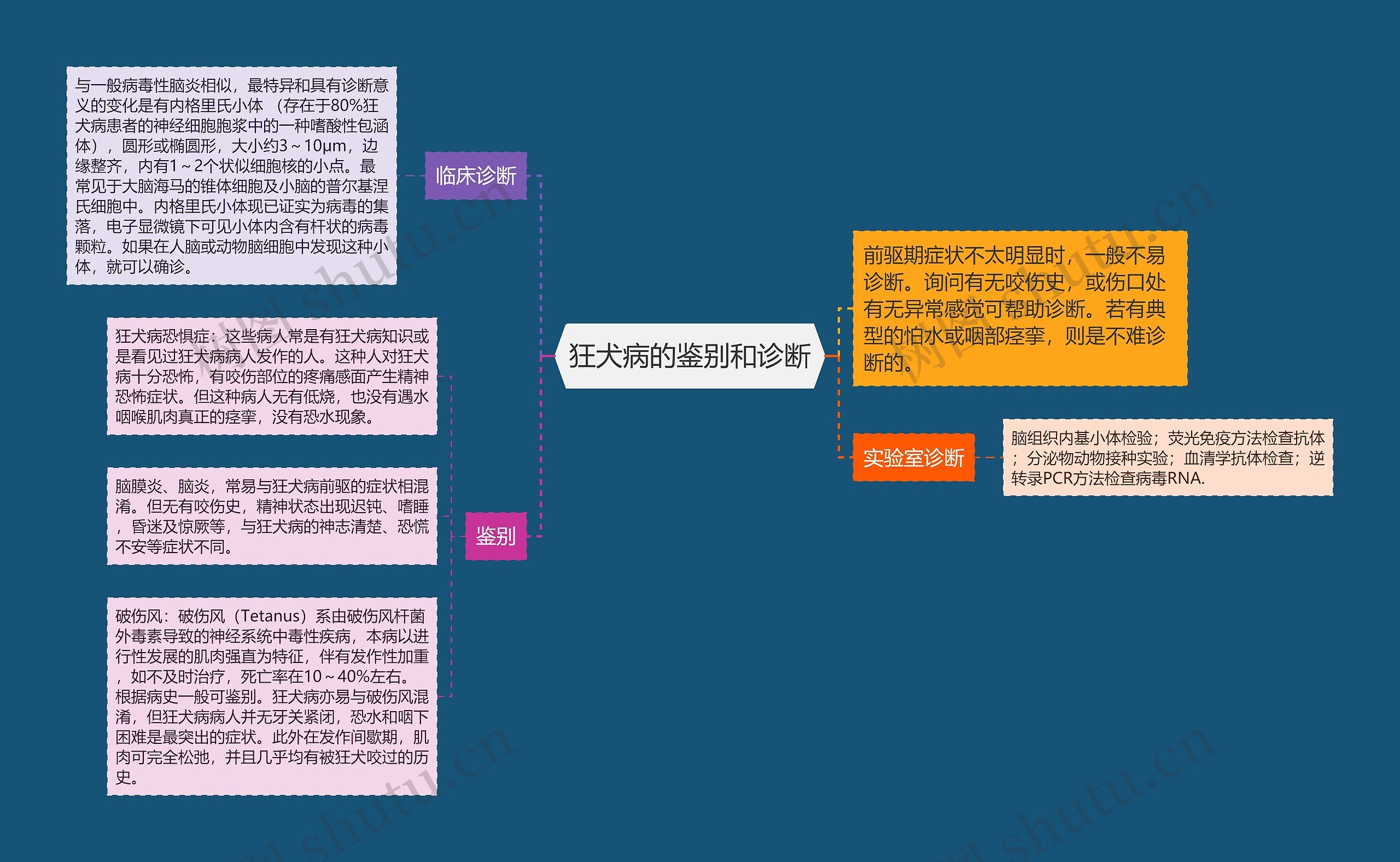 狂犬病的鉴别和诊断思维导图