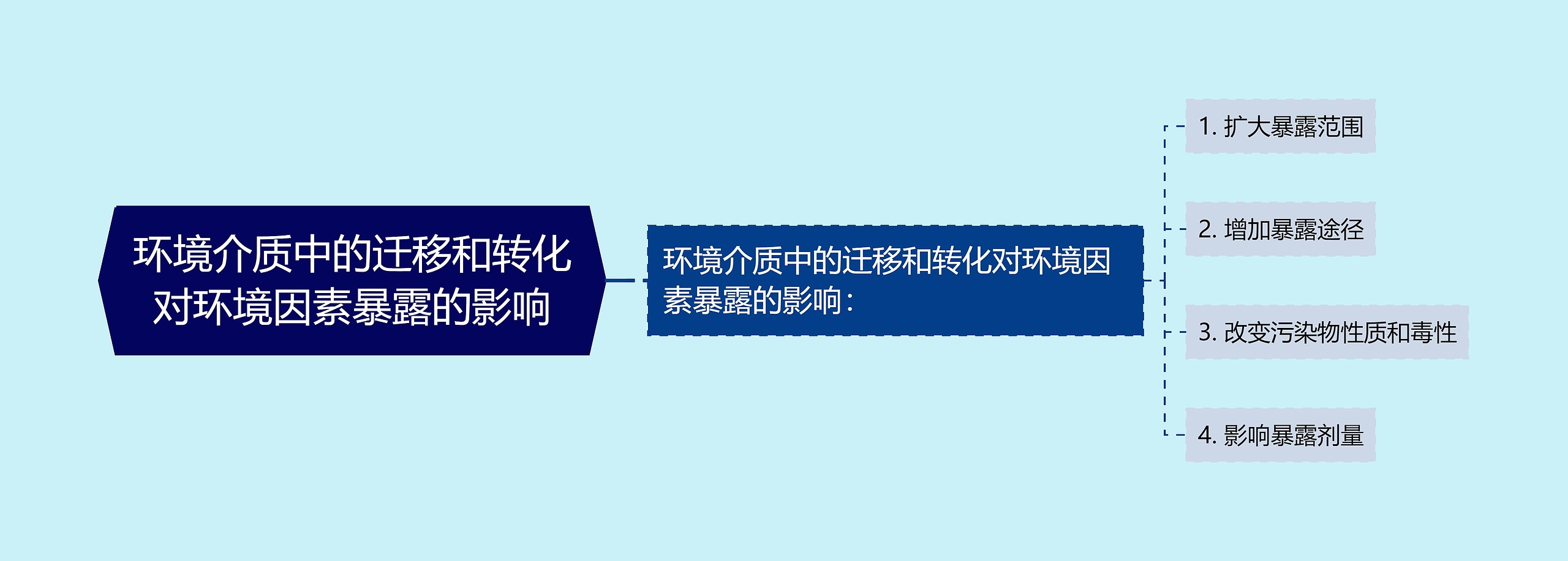 环境介质中的迁移和转化对环境因素暴露的影响思维导图