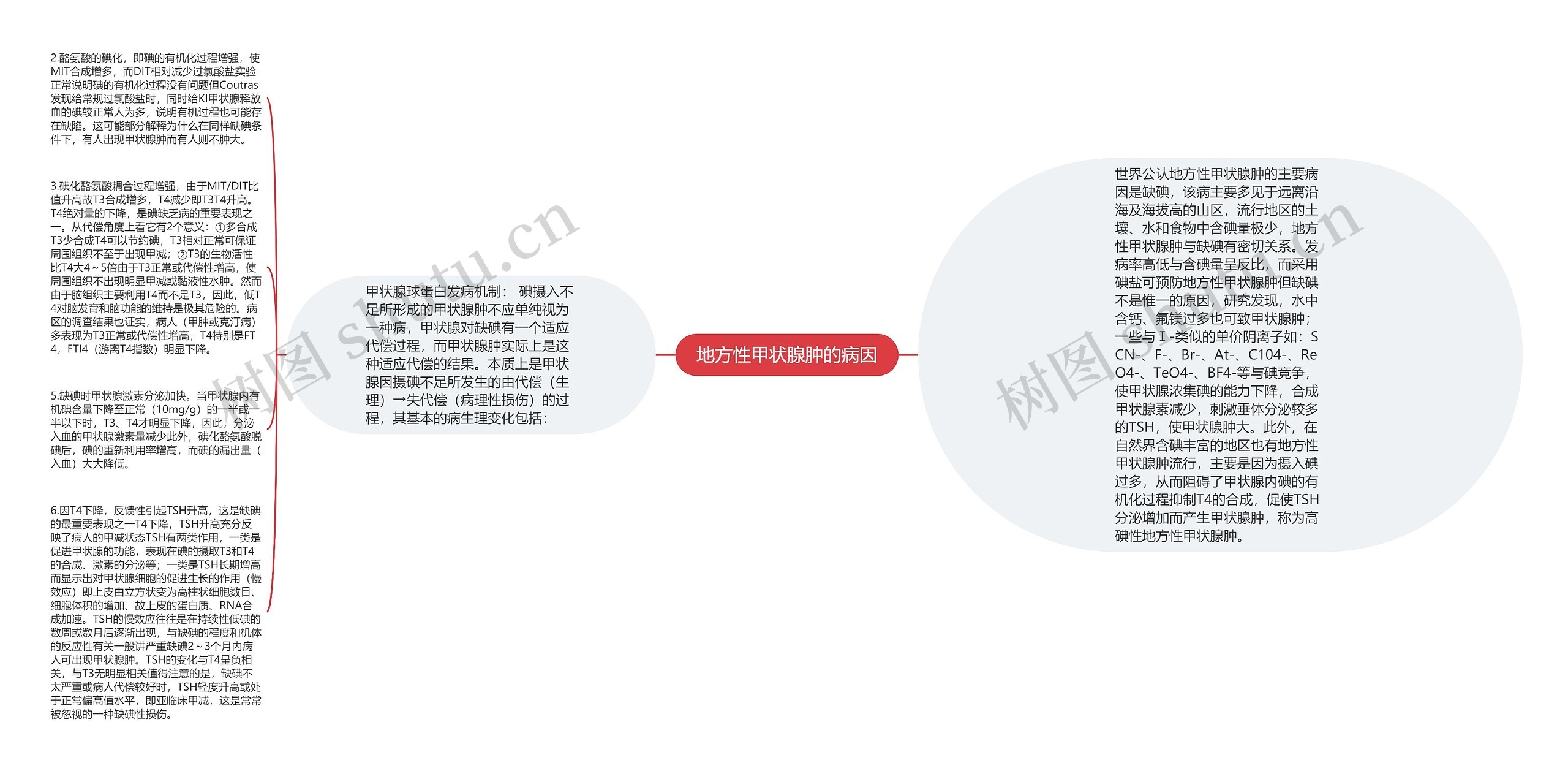 地方性甲状腺肿的病因思维导图