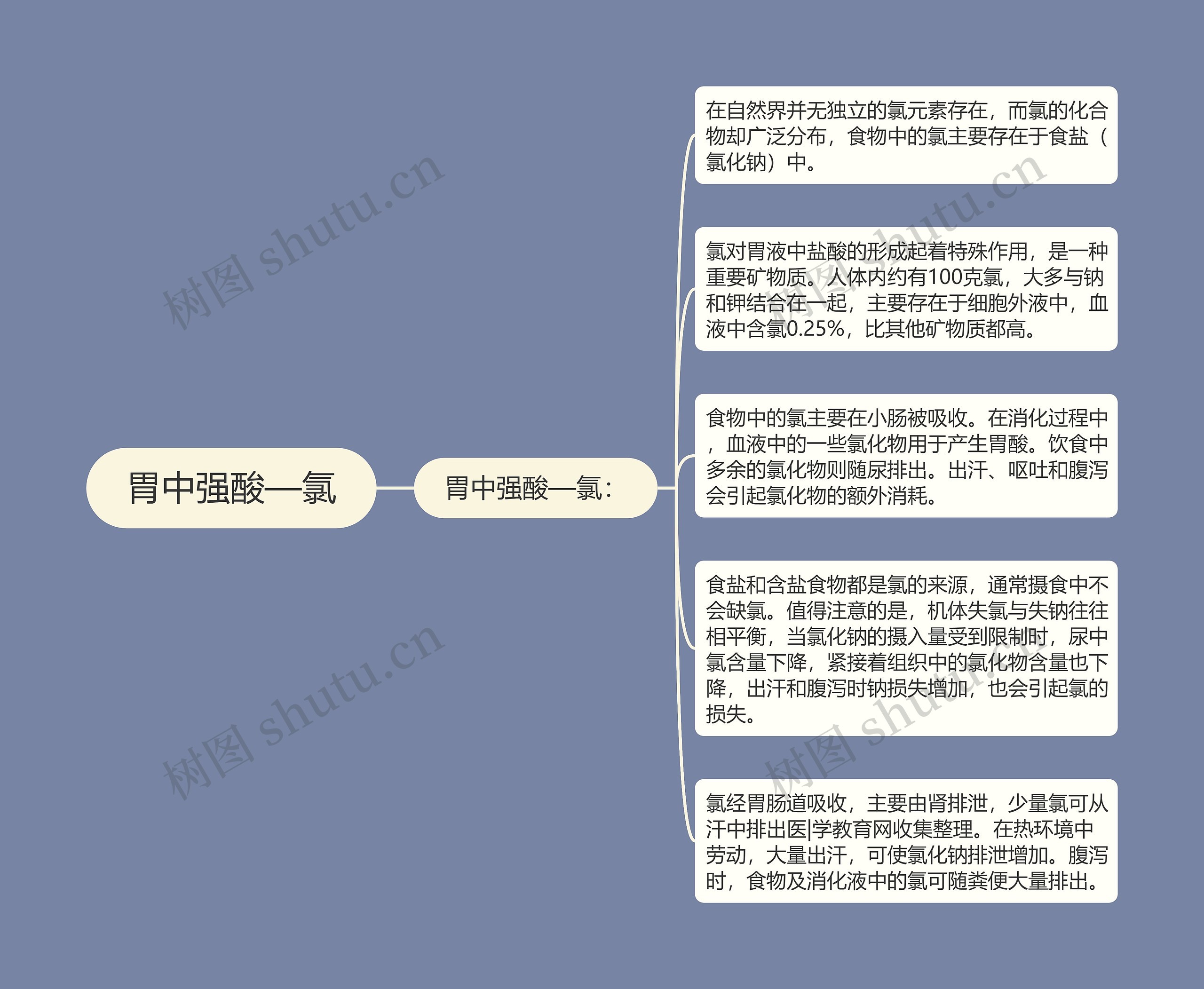 胃中强酸—氯思维导图