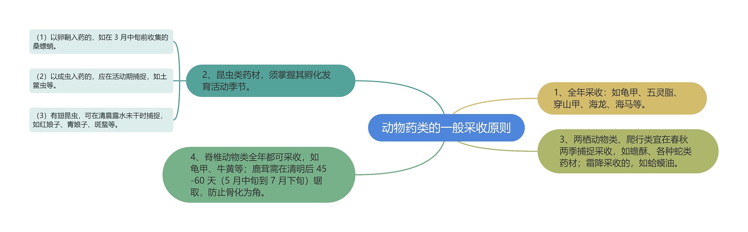 动物药类的一般采收原则思维导图