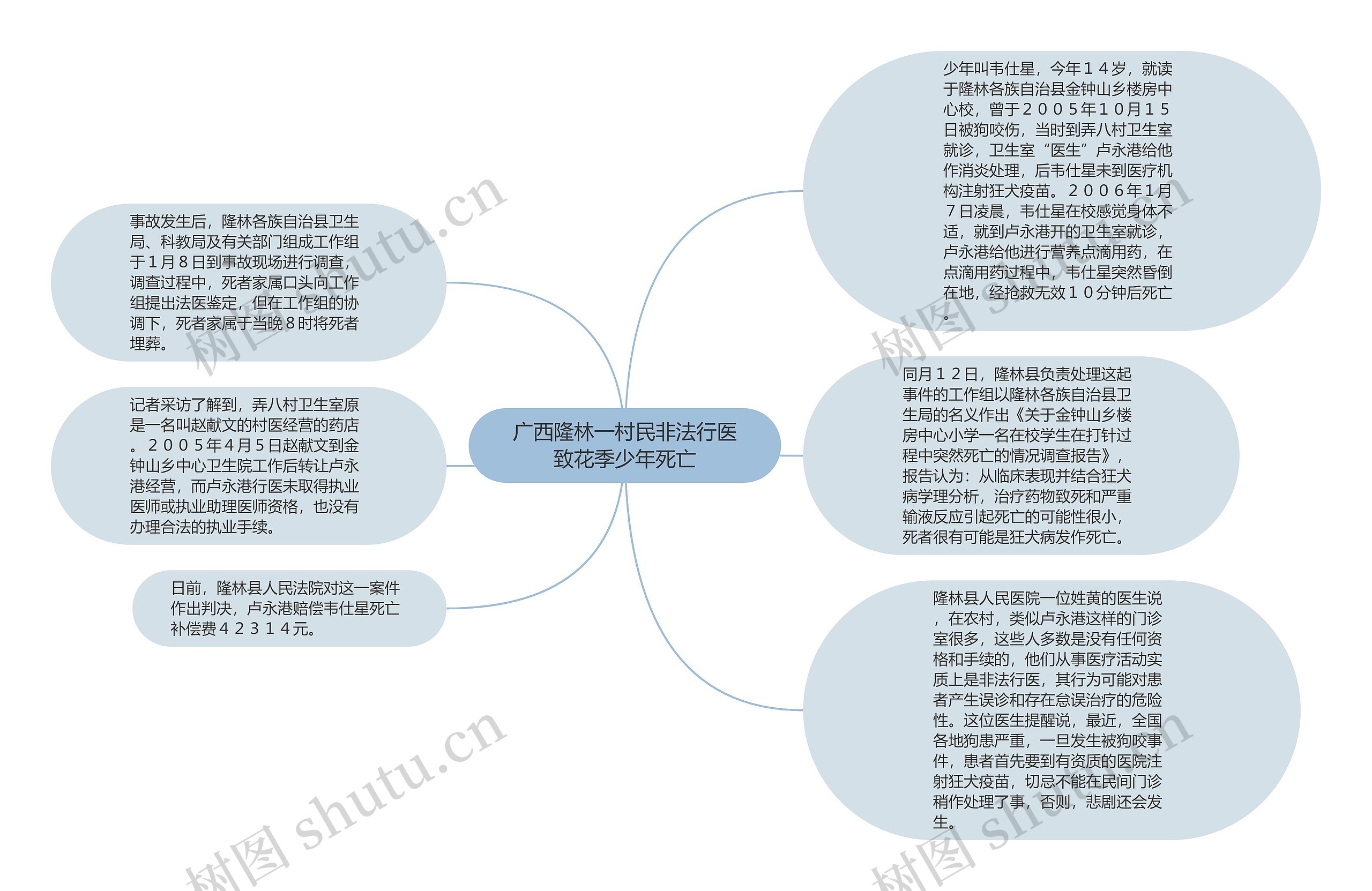 广西隆林一村民非法行医致花季少年死亡思维导图