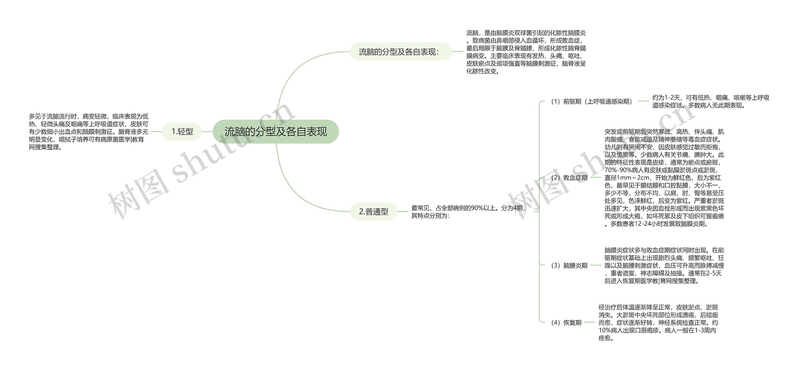 流脑的分型及各自表现思维导图