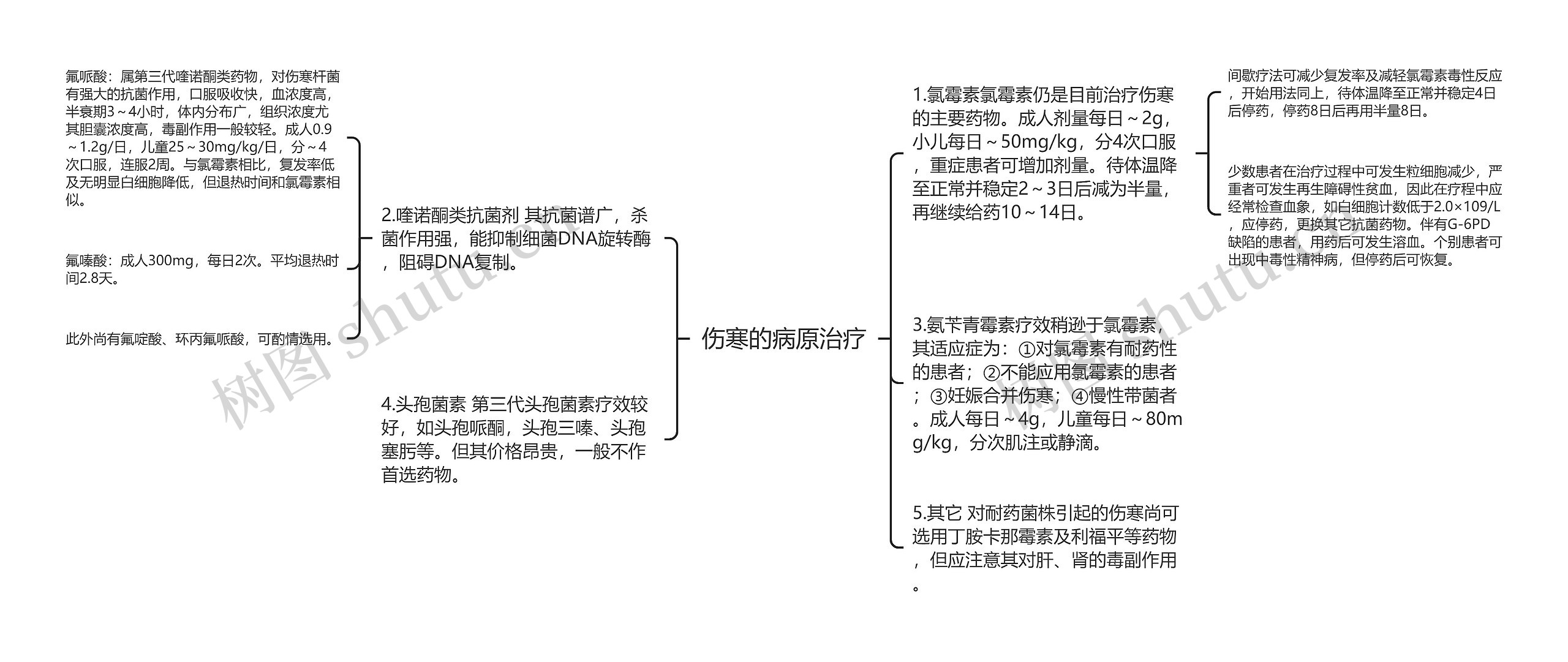 伤寒的病原治疗思维导图