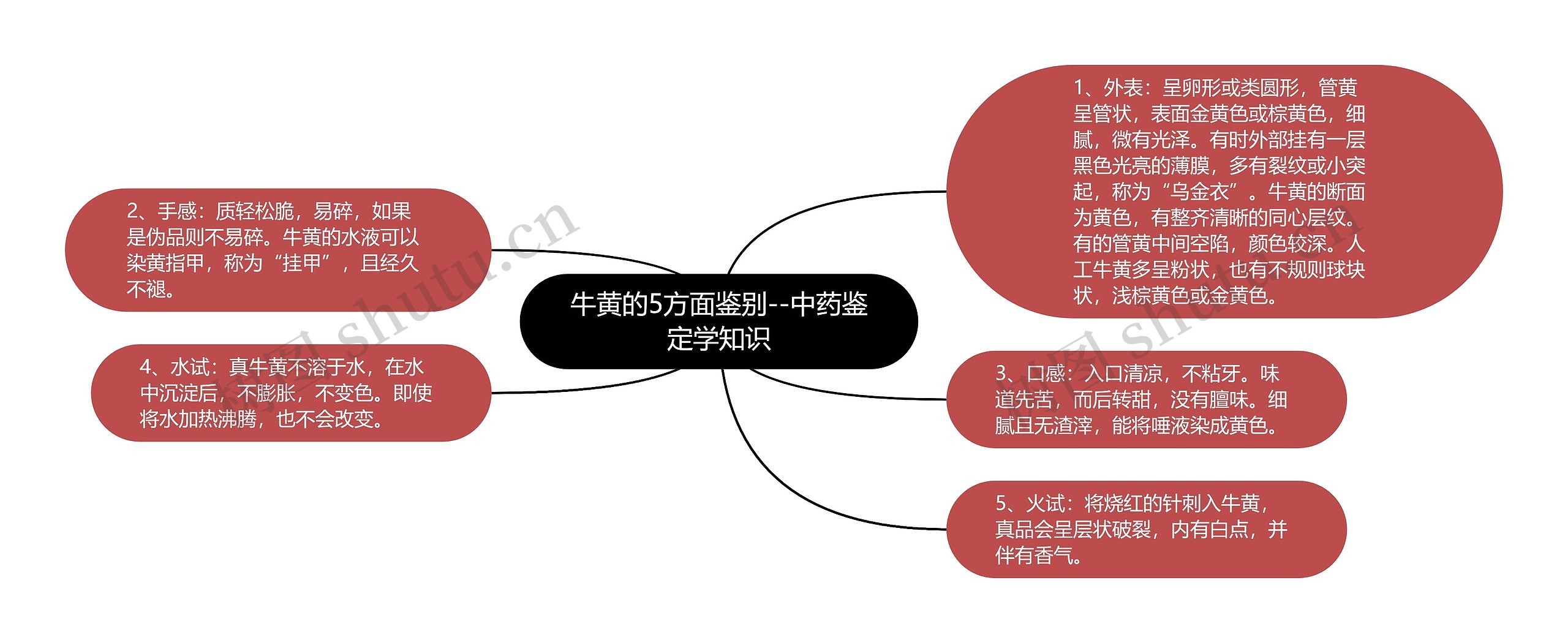 牛黄的5方面鉴别--中药鉴定学知识