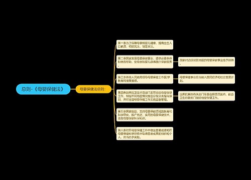 总则-《母婴保健法》
