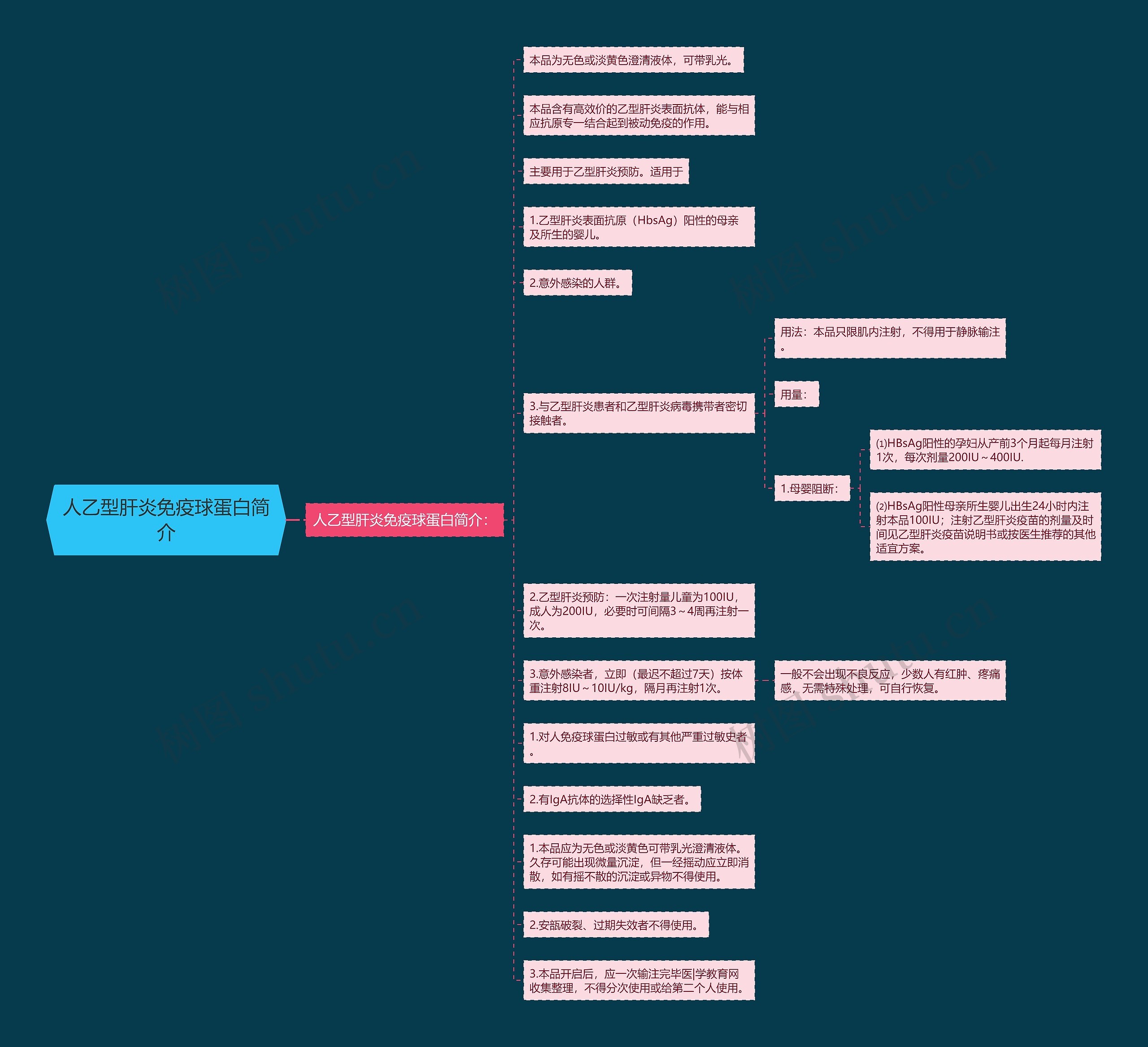 人乙型肝炎免疫球蛋白简介思维导图