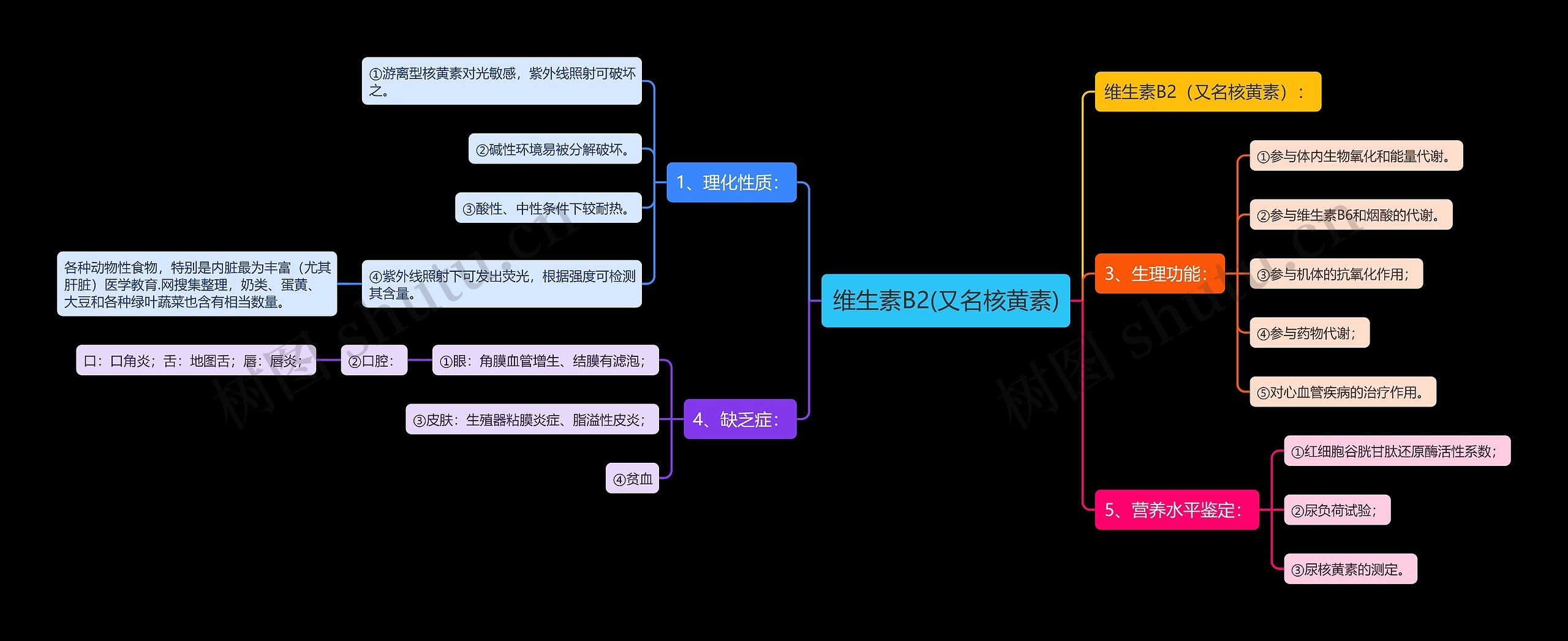 维生素B2(又名核黄素)思维导图