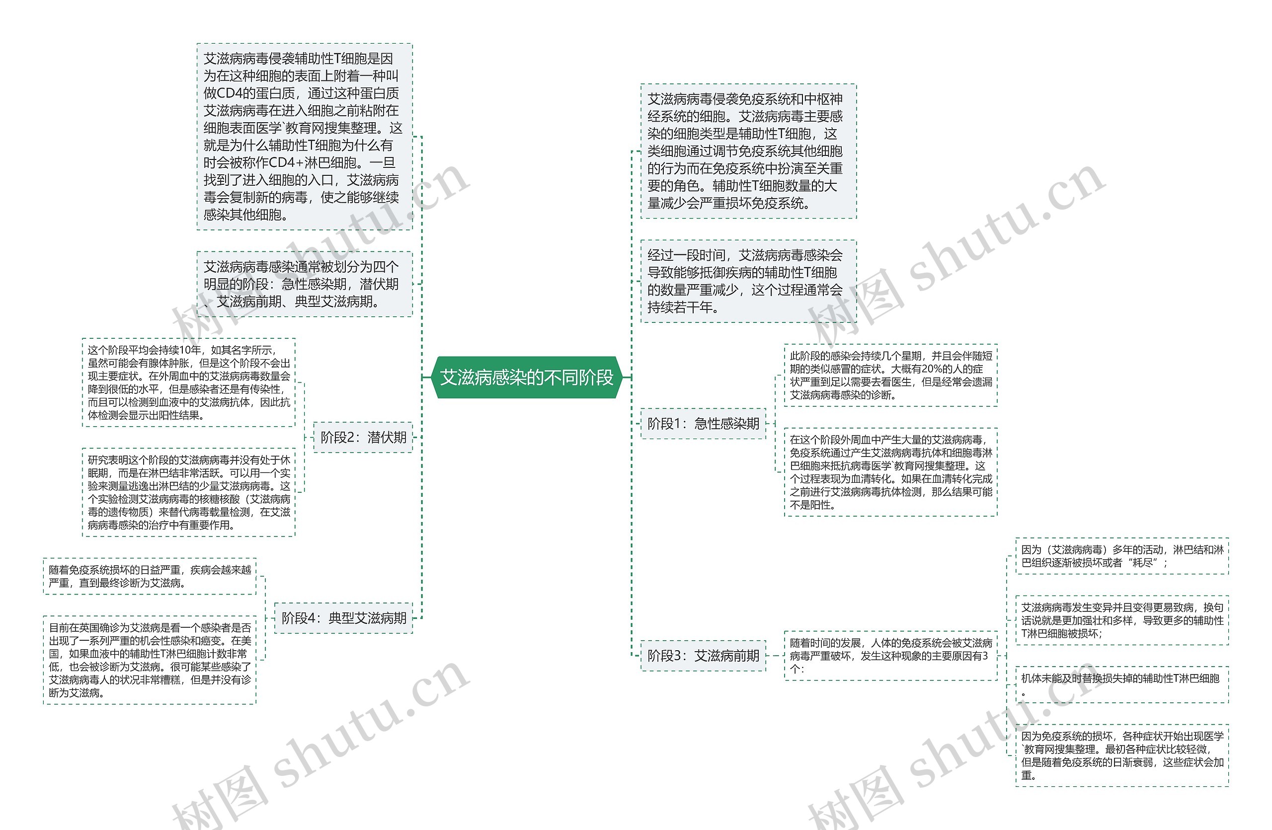 艾滋病感染的不同阶段