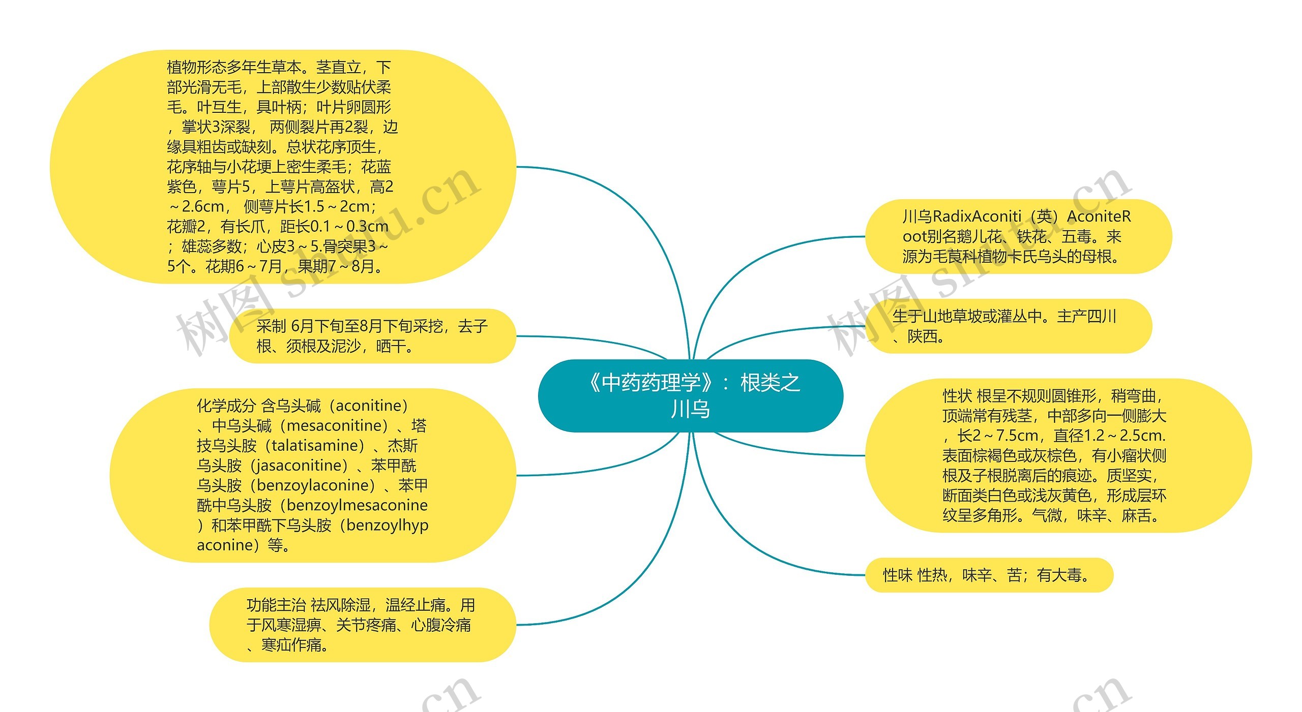 《中药药理学》：根类之川乌思维导图