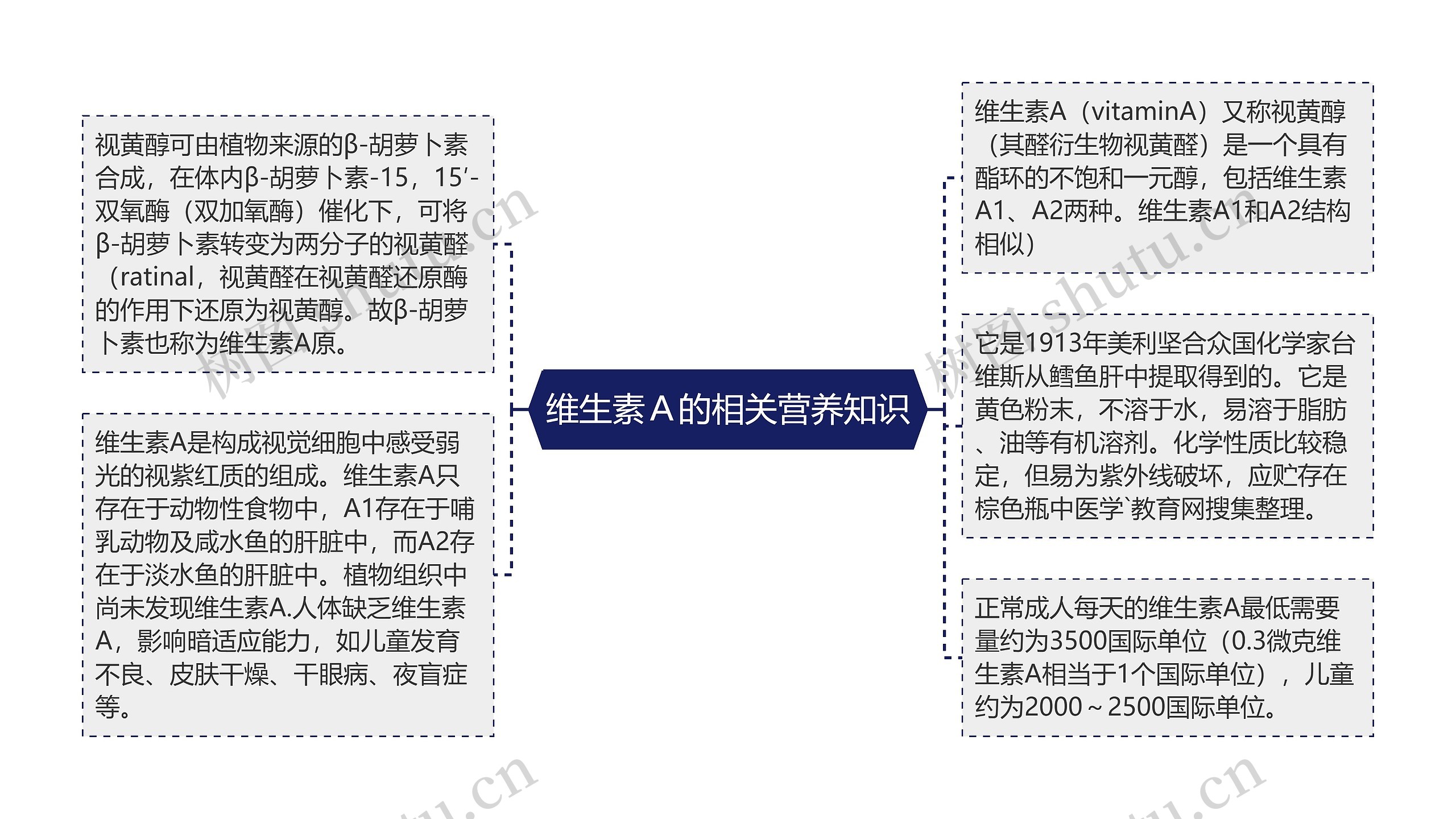 维生素Ａ的相关营养知识思维导图