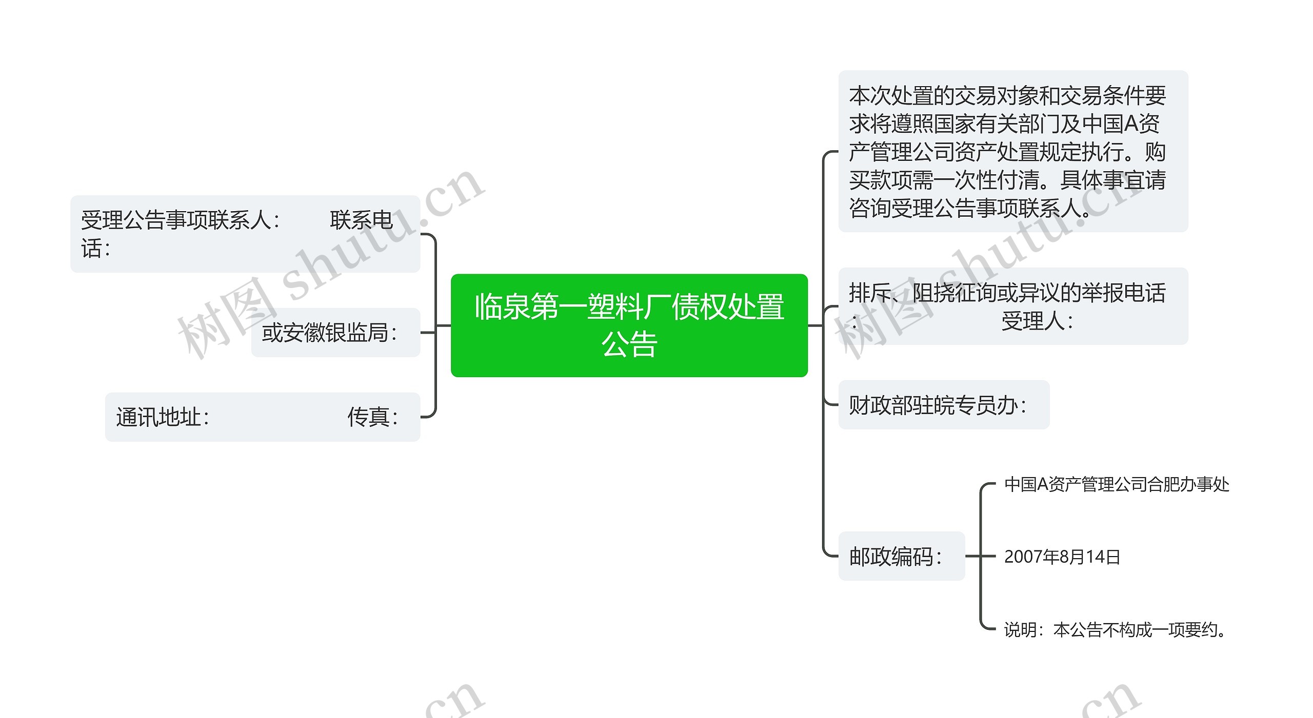 临泉第一塑料厂债权处置公告思维导图