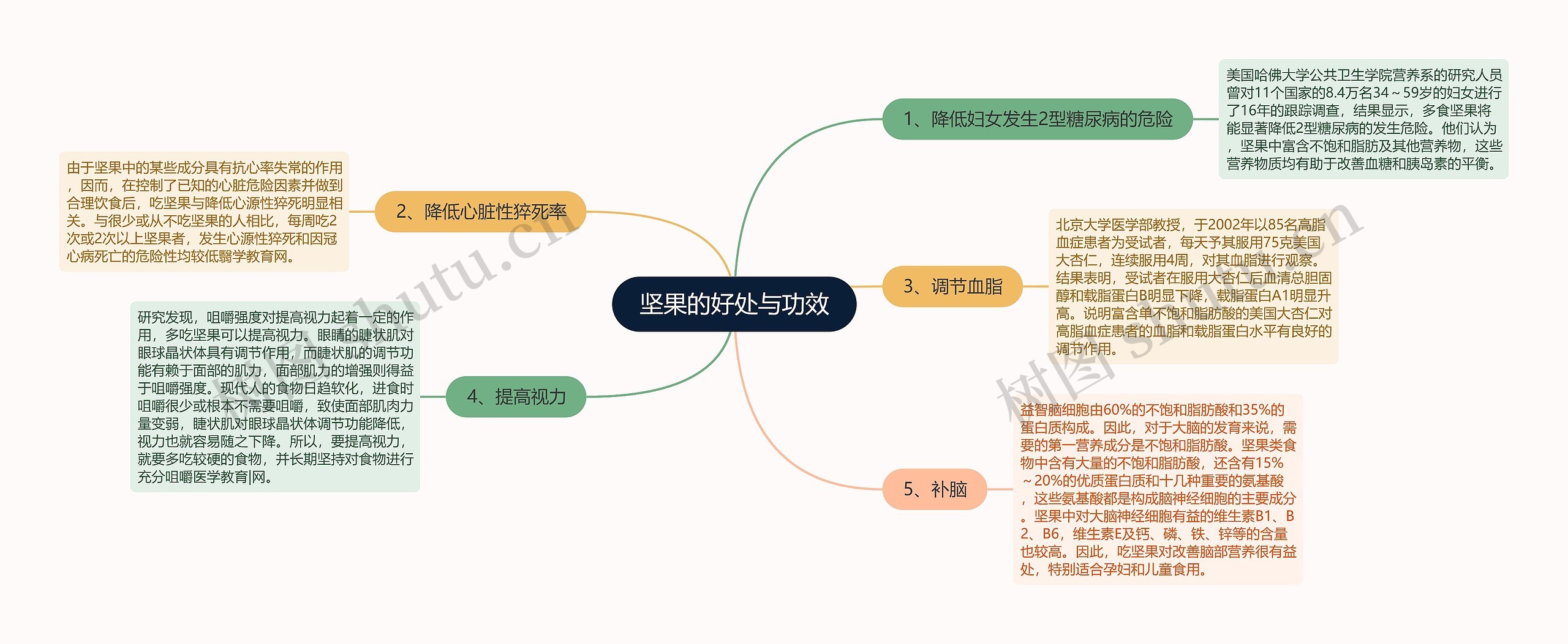 坚果的好处与功效