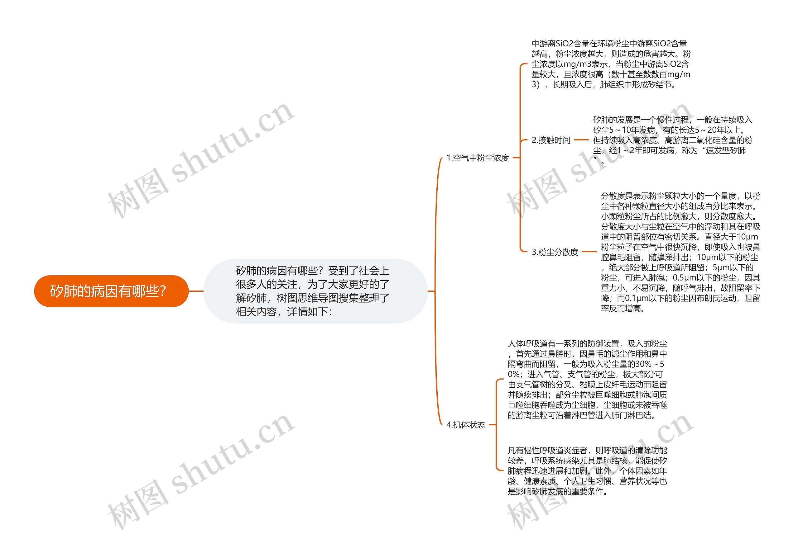 矽肺的病因有哪些？思维导图