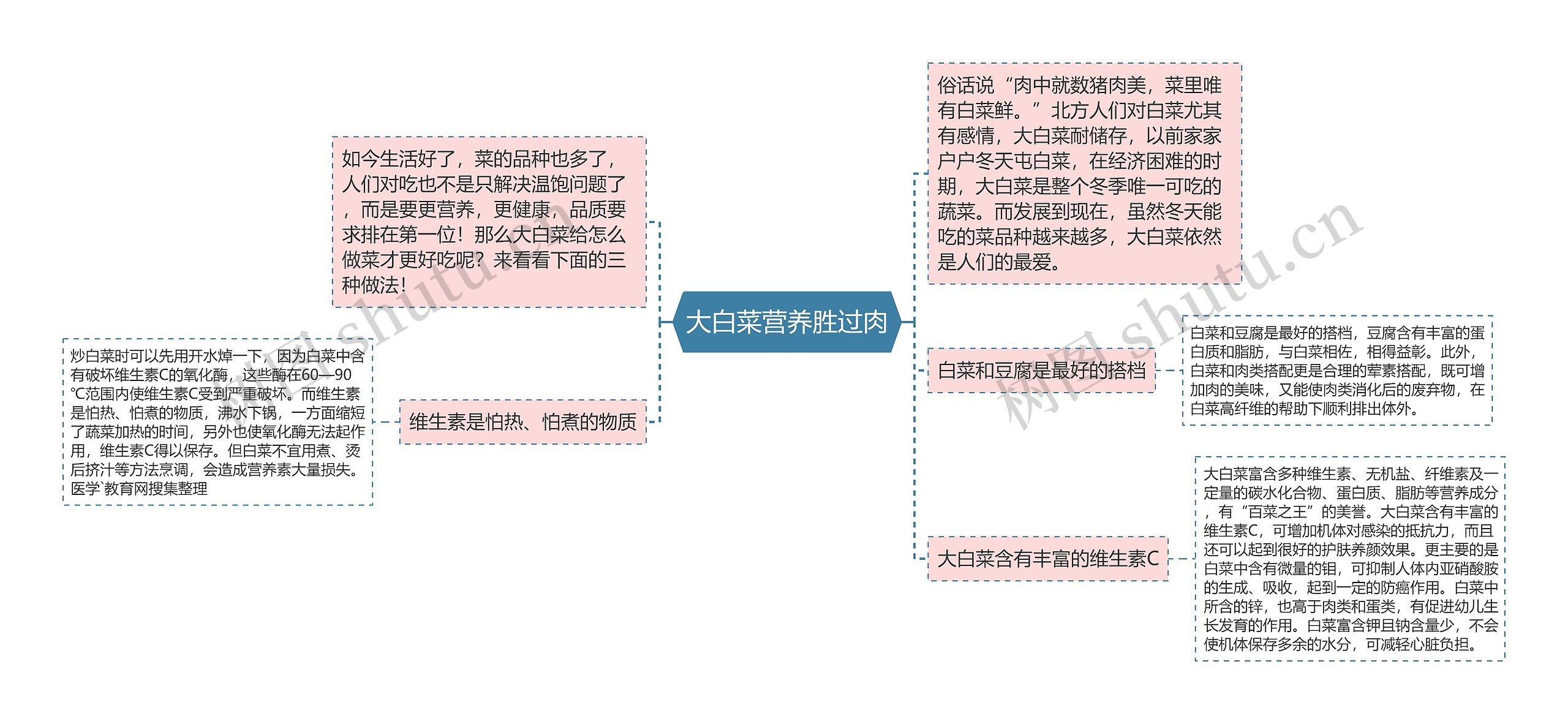 大白菜营养胜过肉思维导图