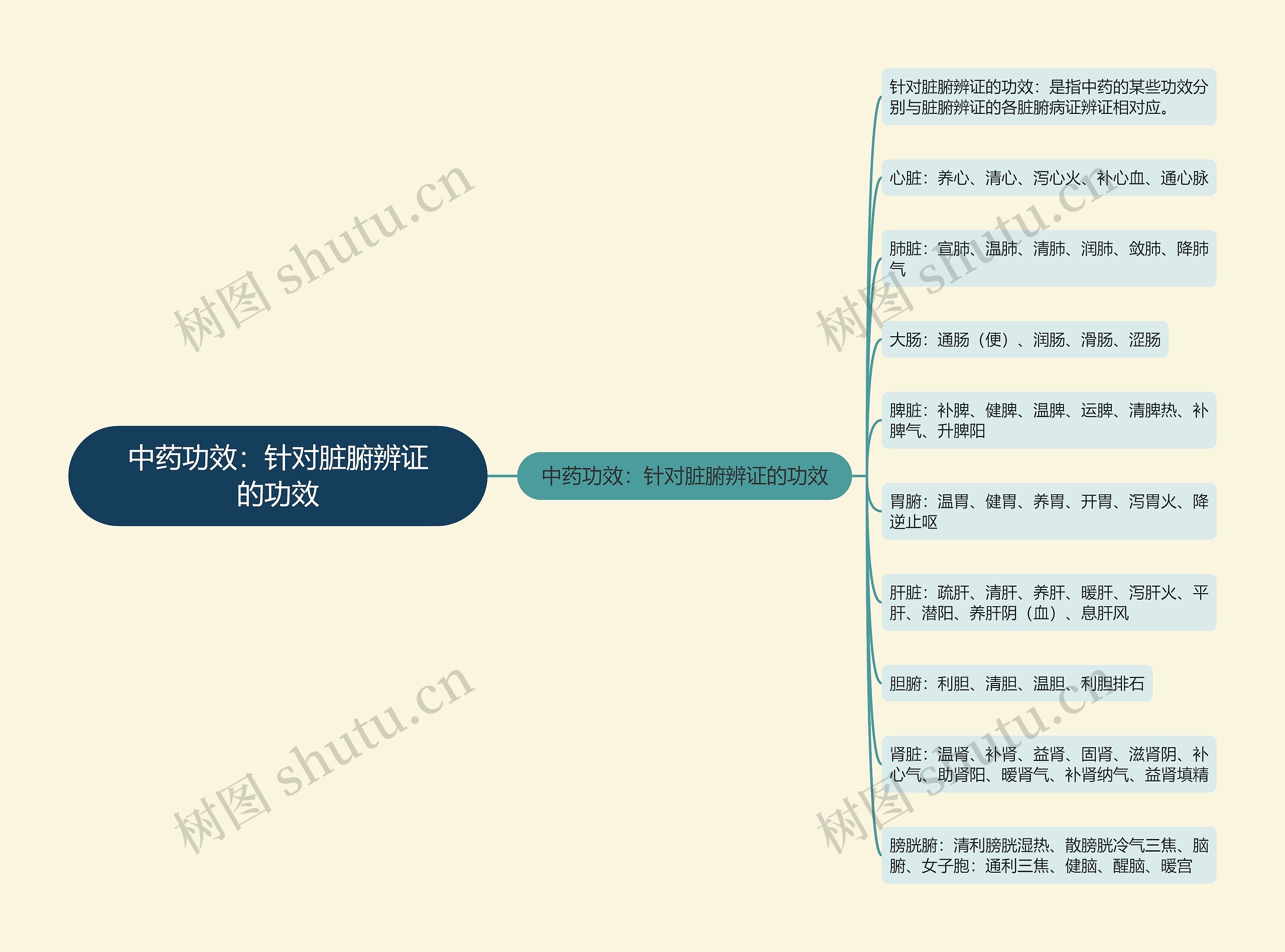 中药功效：针对脏腑辨证的功效思维导图