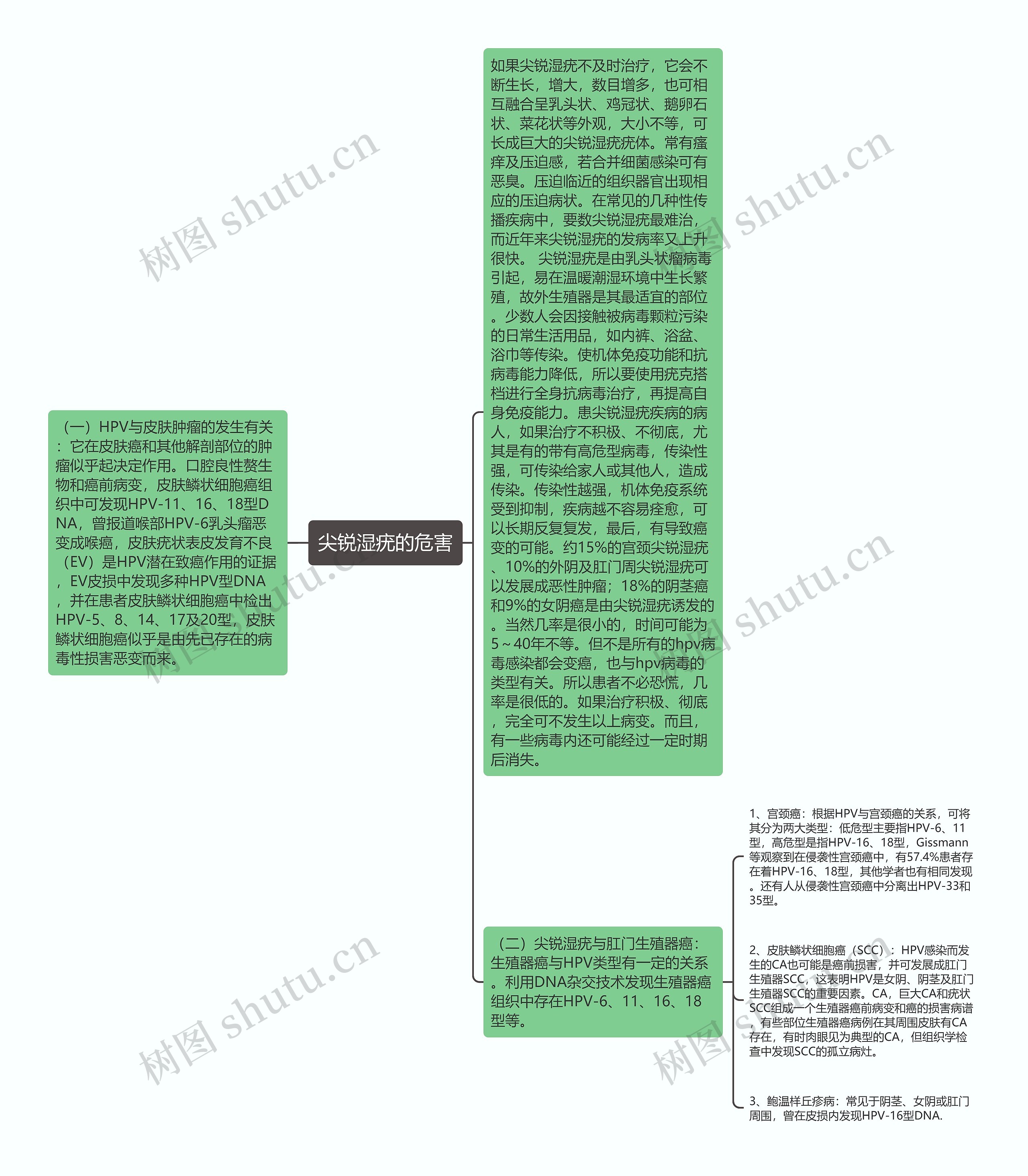 尖锐湿疣的危害思维导图
