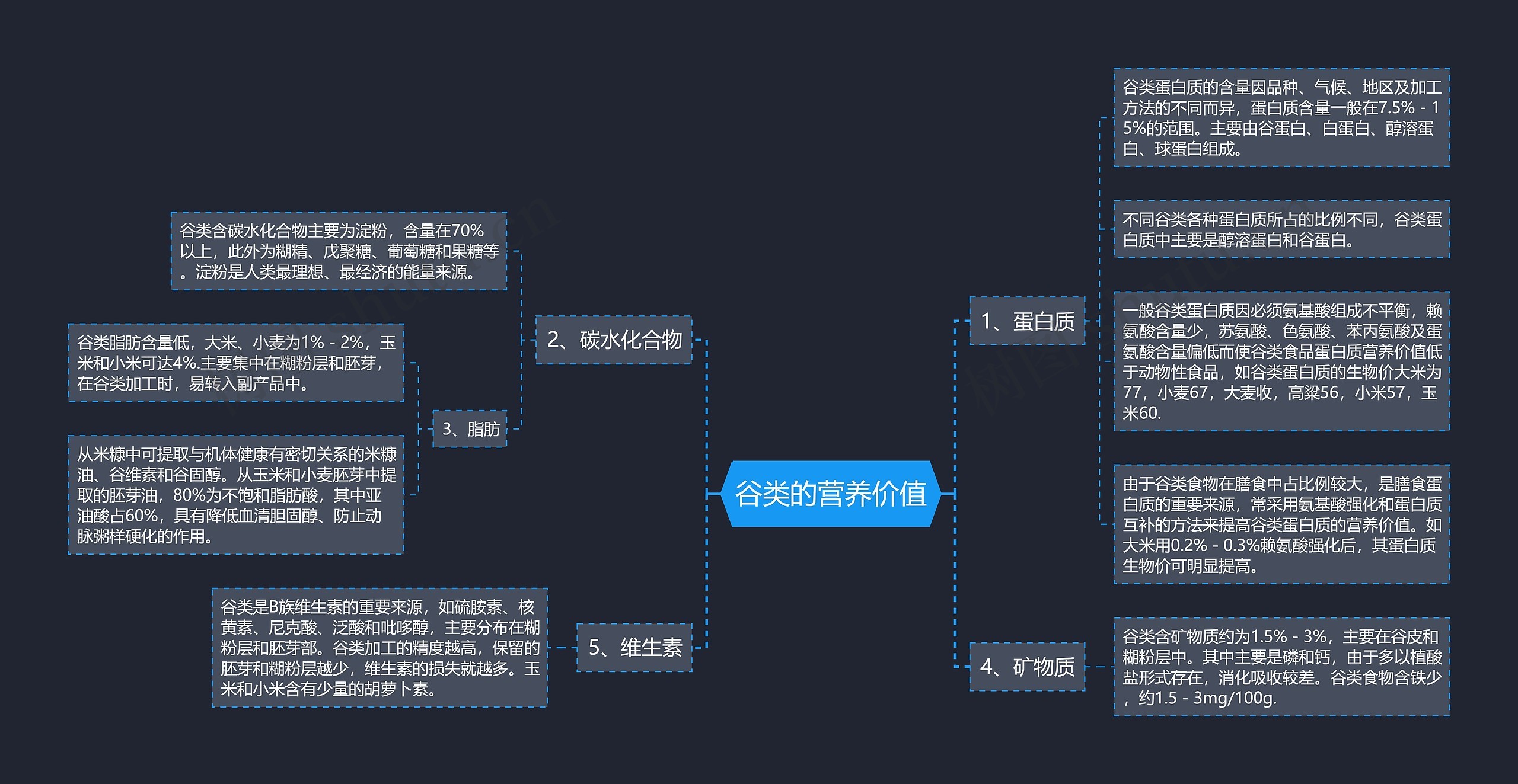 谷类的营养价值思维导图