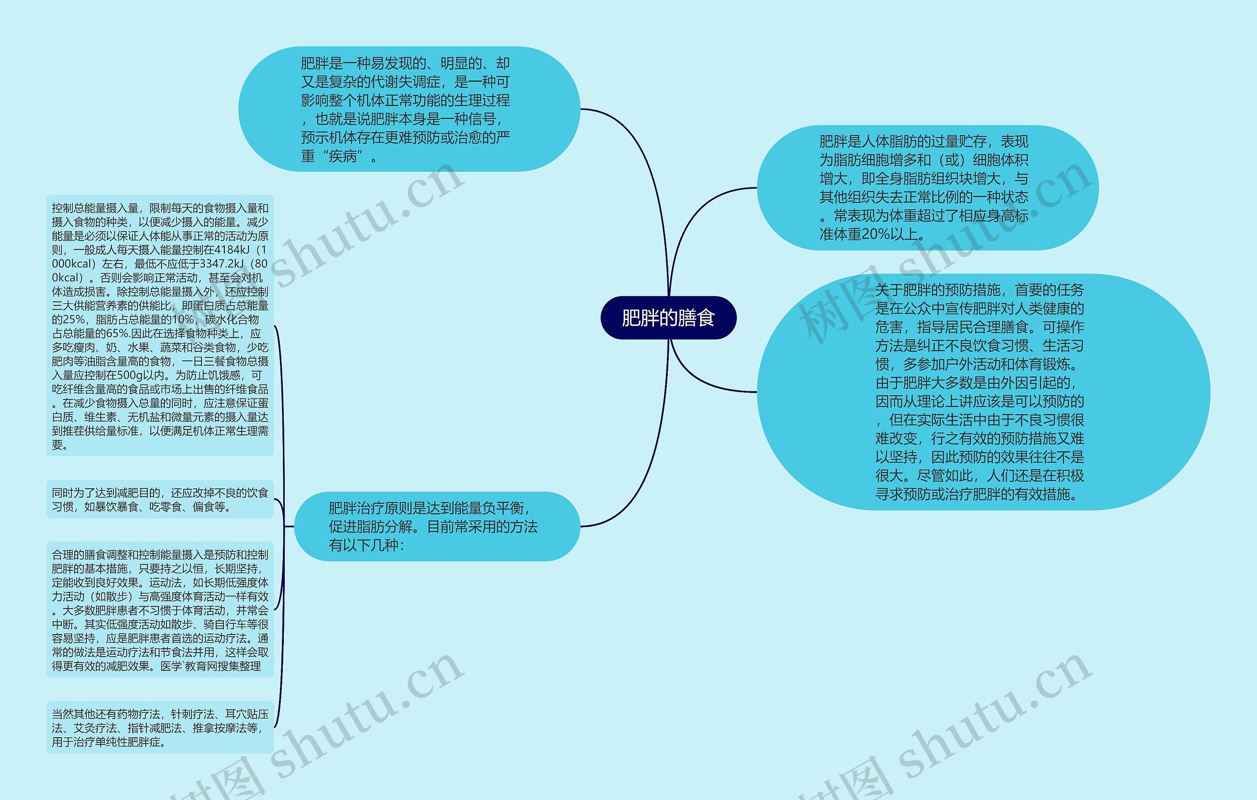 肥胖的膳食思维导图