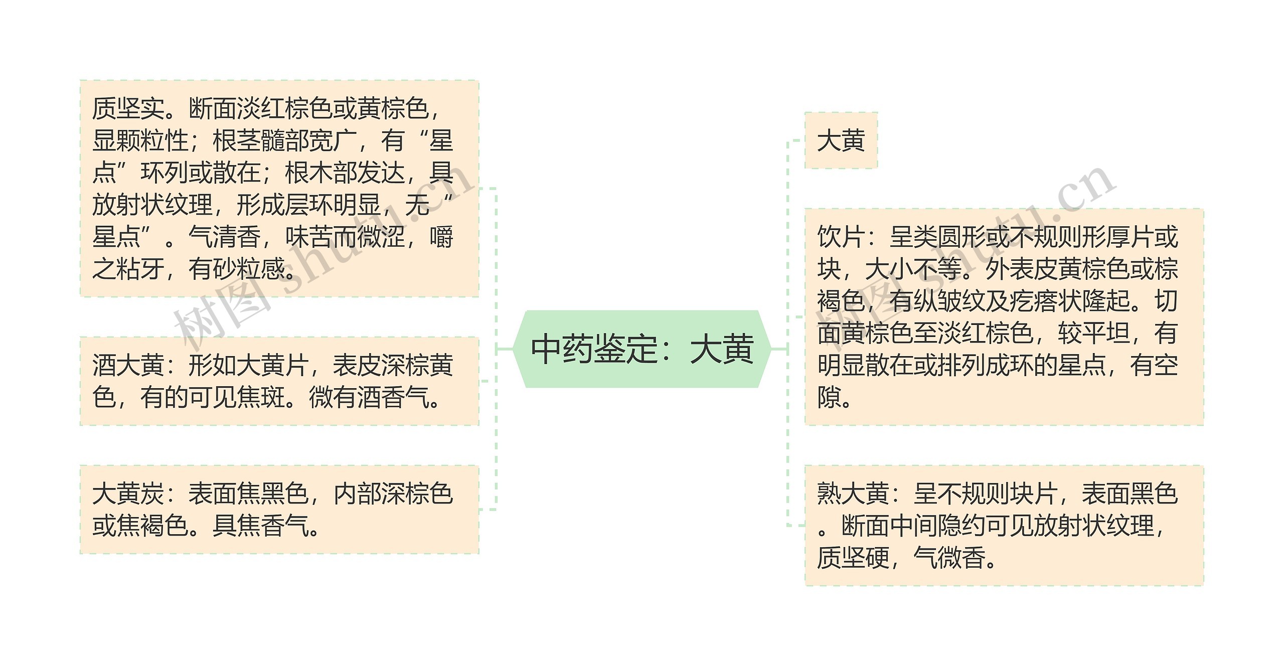 中药鉴定：大黄思维导图