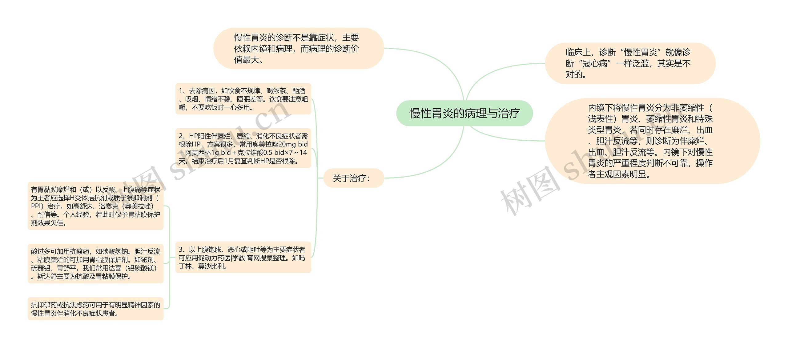 慢性胃炎的病理与治疗思维导图