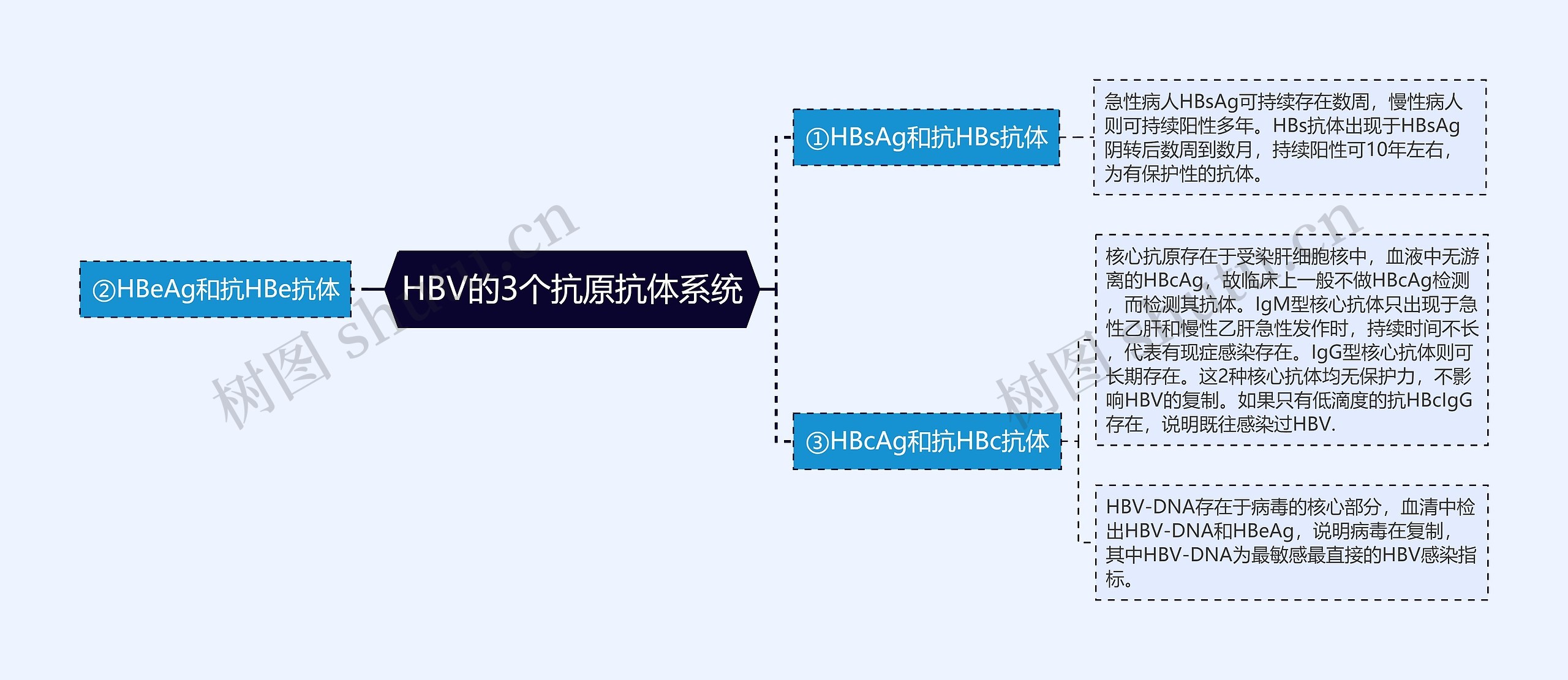 HBV的3个抗原抗体系统