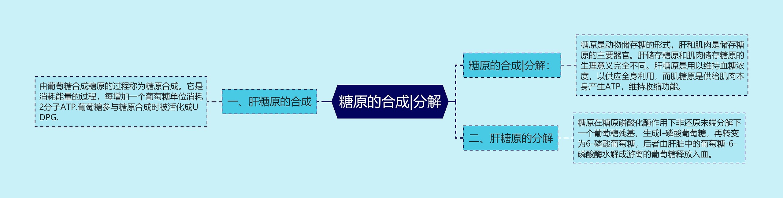 糖原的合成|分解 糖原的合成|分解