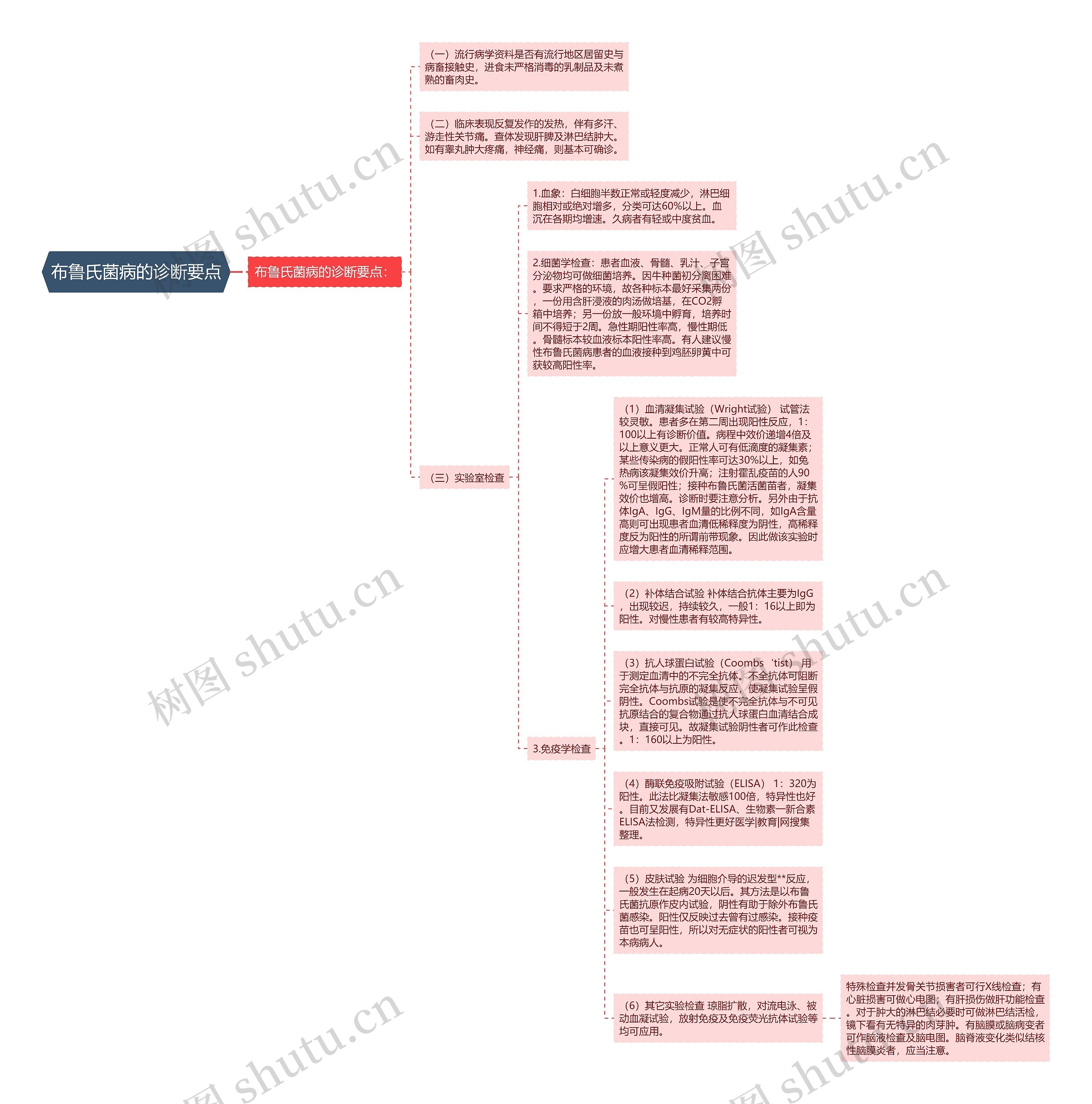 布鲁氏菌病的诊断要点思维导图