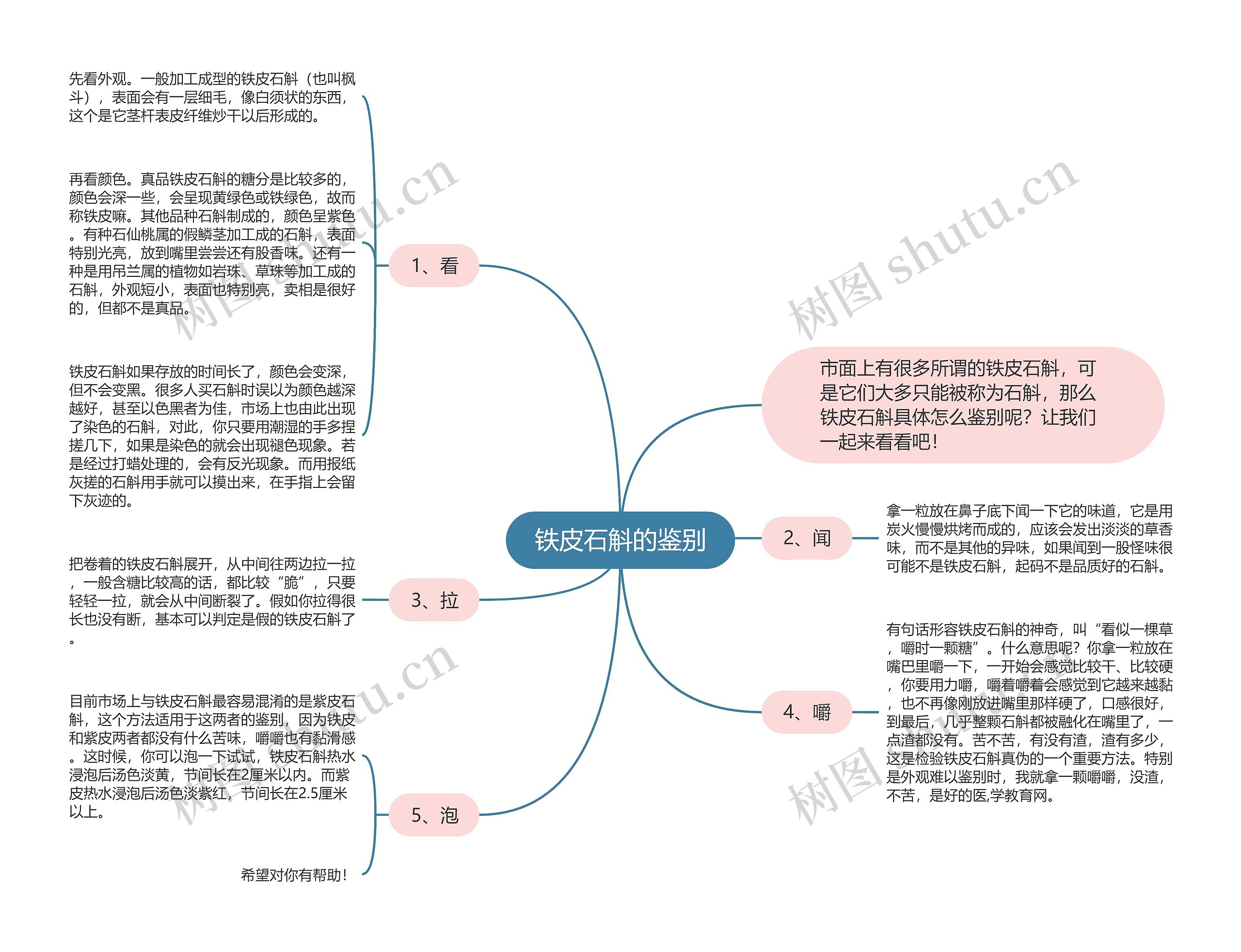 铁皮石斛的鉴别思维导图