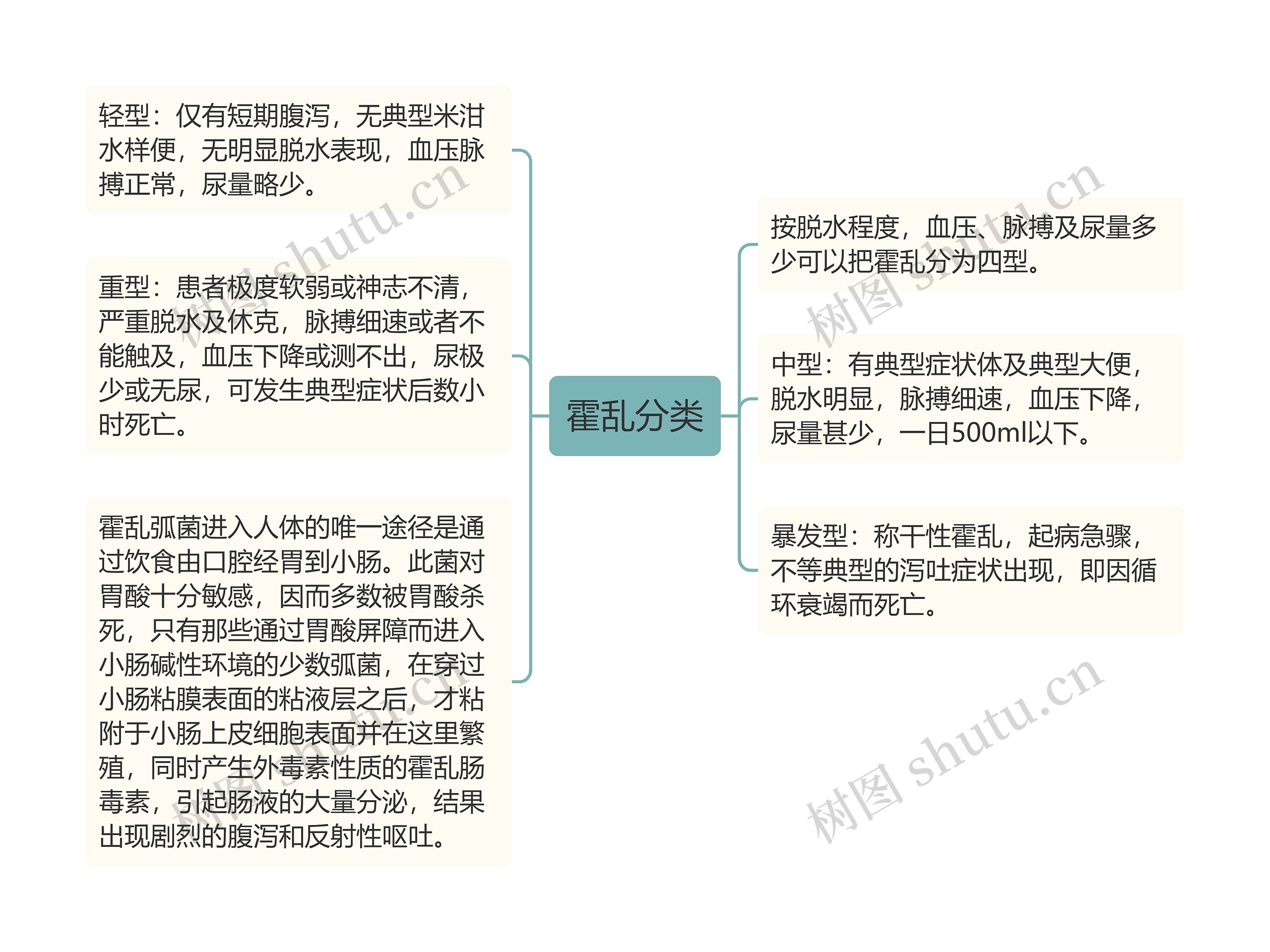 霍乱分类思维导图