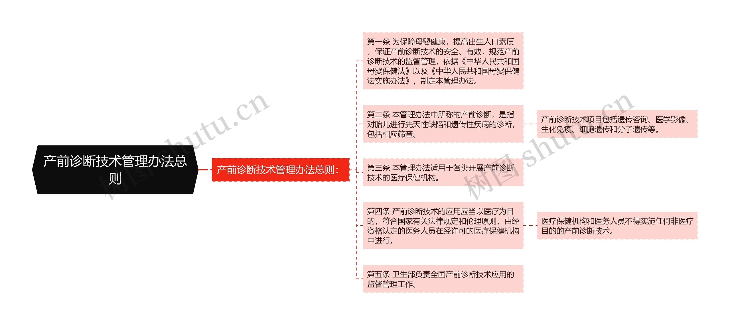 产前诊断技术管理办法总则 产前诊断技术管理办法总则