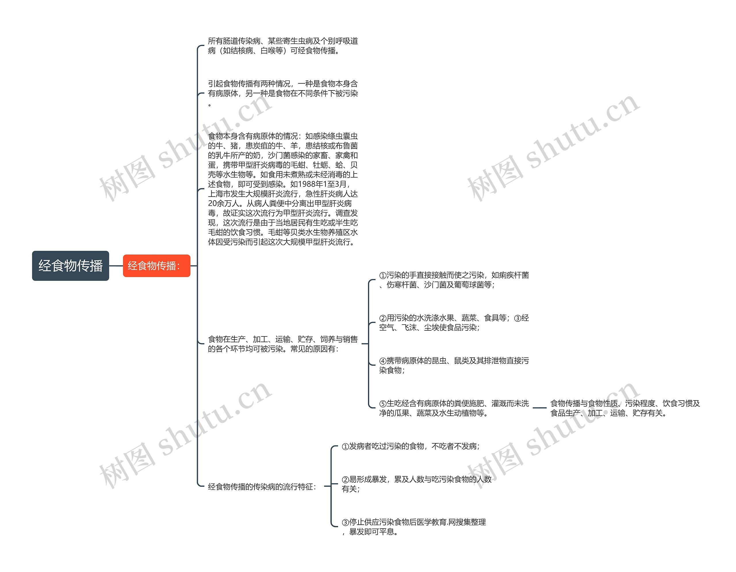 经食物传播思维导图