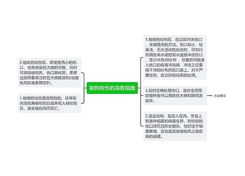 被狗咬伤的急救措施