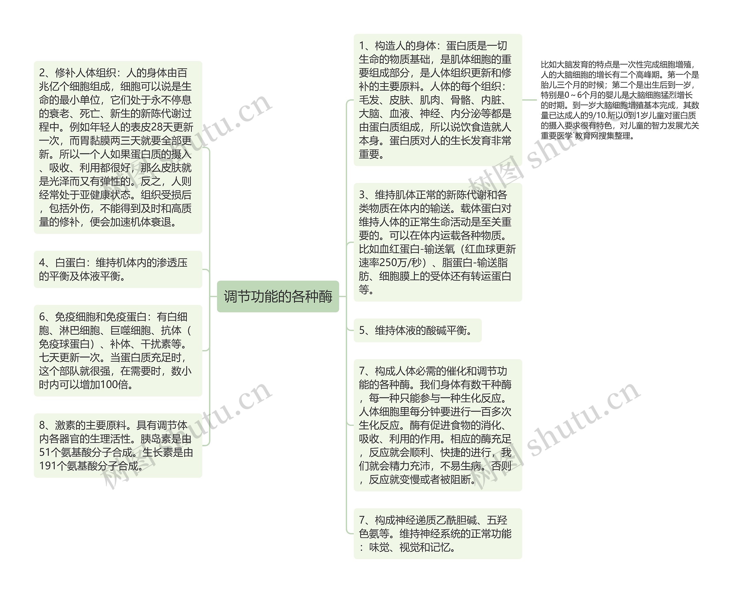 调节功能的各种酶思维导图高清图 调节功能的各种酶思维导图