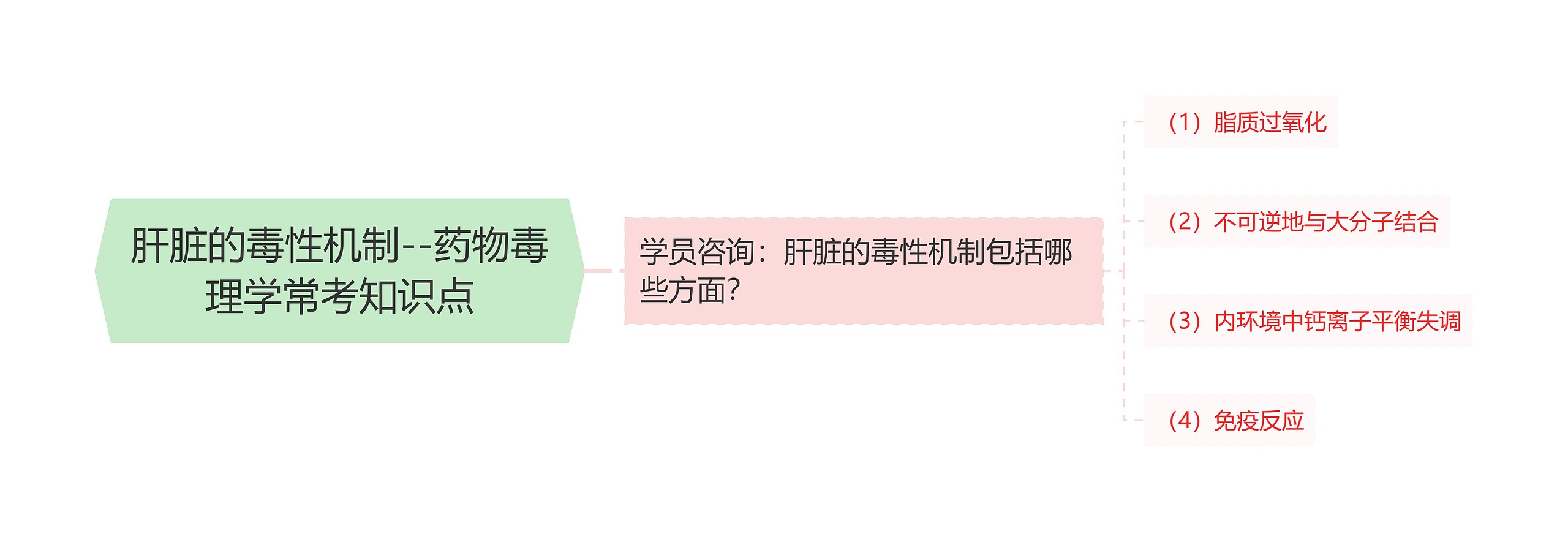 肝脏的毒性机制--药物毒理学常考知识点
